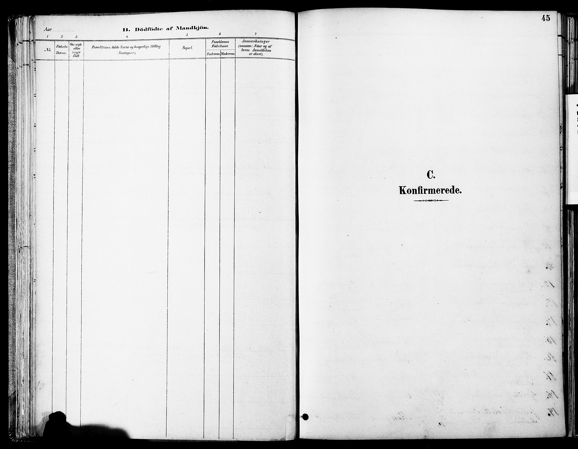 Spydeberg prestekontor Kirkebøker, SAO/A-10924/F/Fa/L0008: Ministerialbok nr. I 8, 1886-1900, s. 45