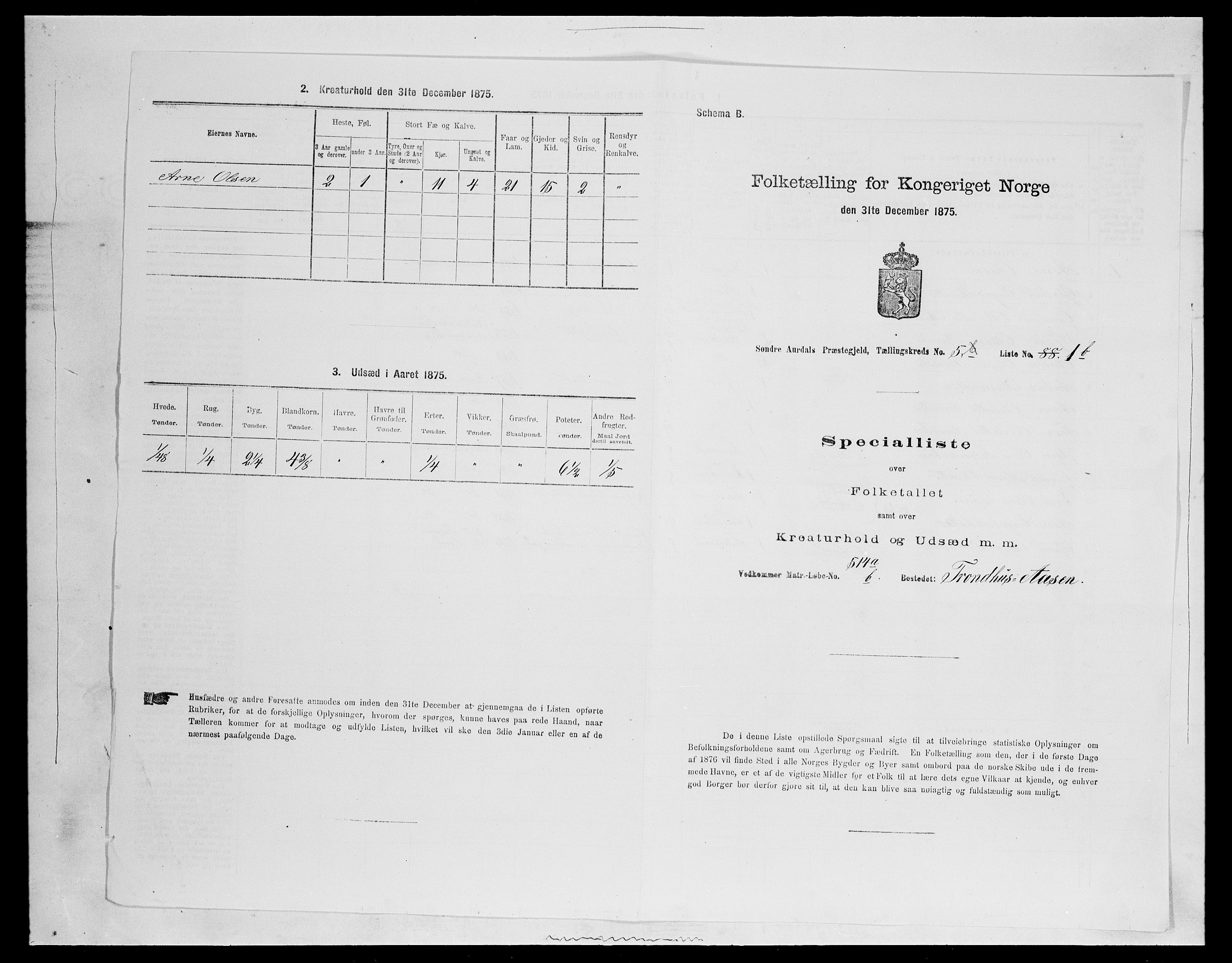 SAH, Folketelling 1875 for 0540P Sør-Aurdal prestegjeld, 1875, s. 919