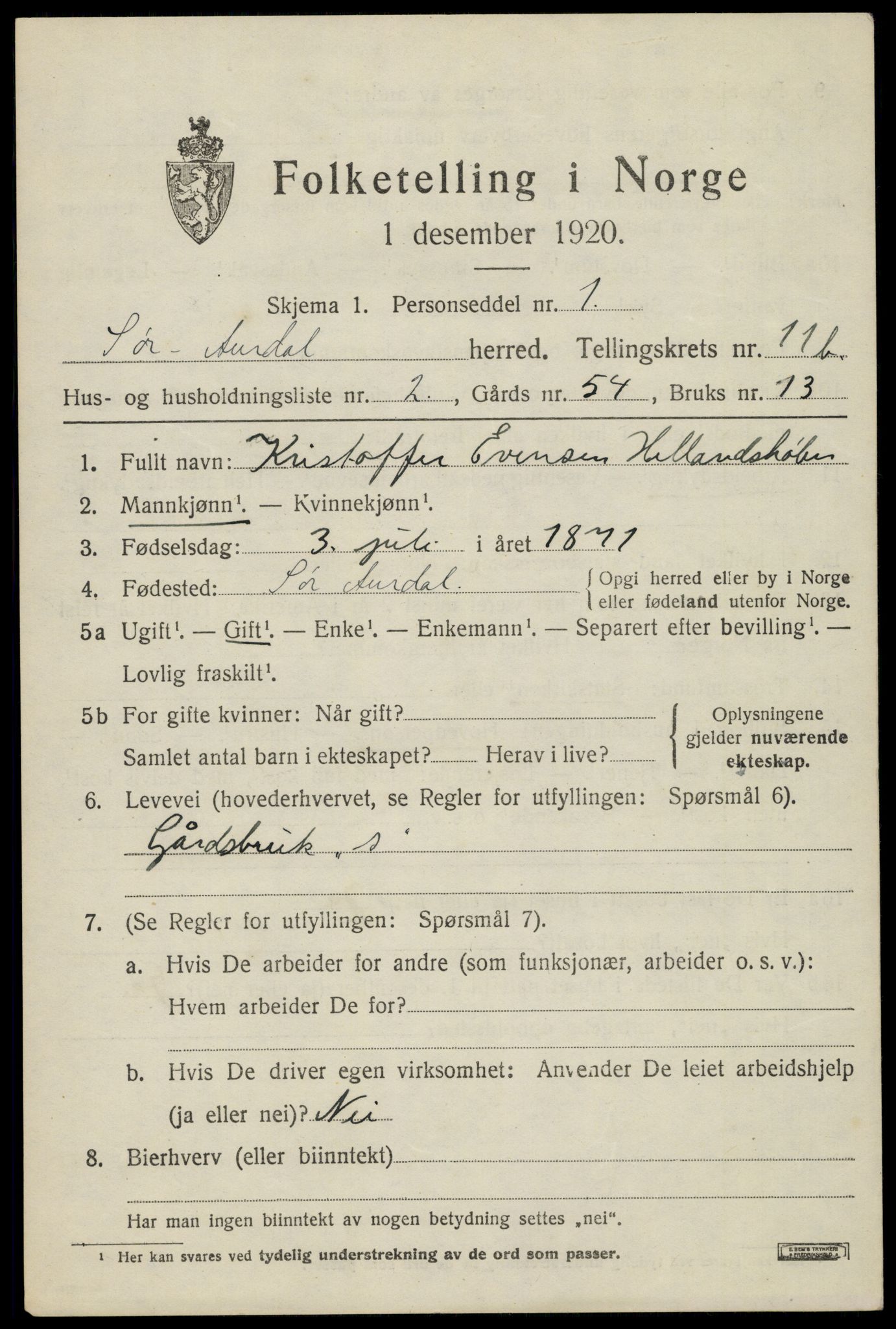 SAH, Folketelling 1920 for 0540 Sør-Aurdal herred, 1920, s. 6267