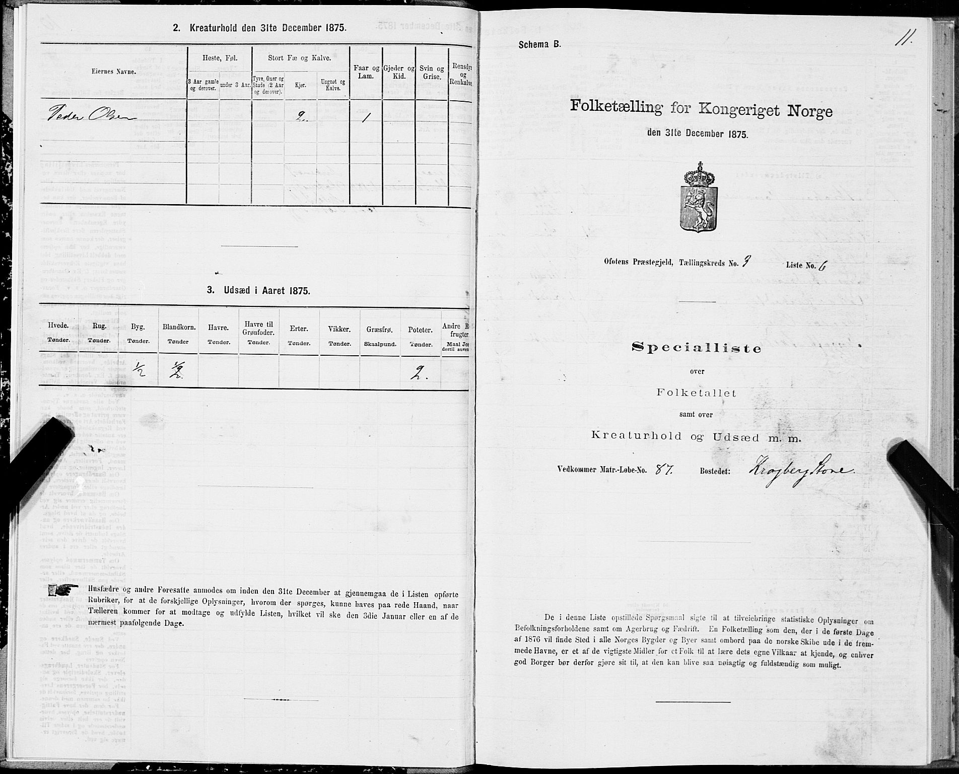 SAT, Folketelling 1875 for 1853P Ofoten prestegjeld, 1875, s. 2011