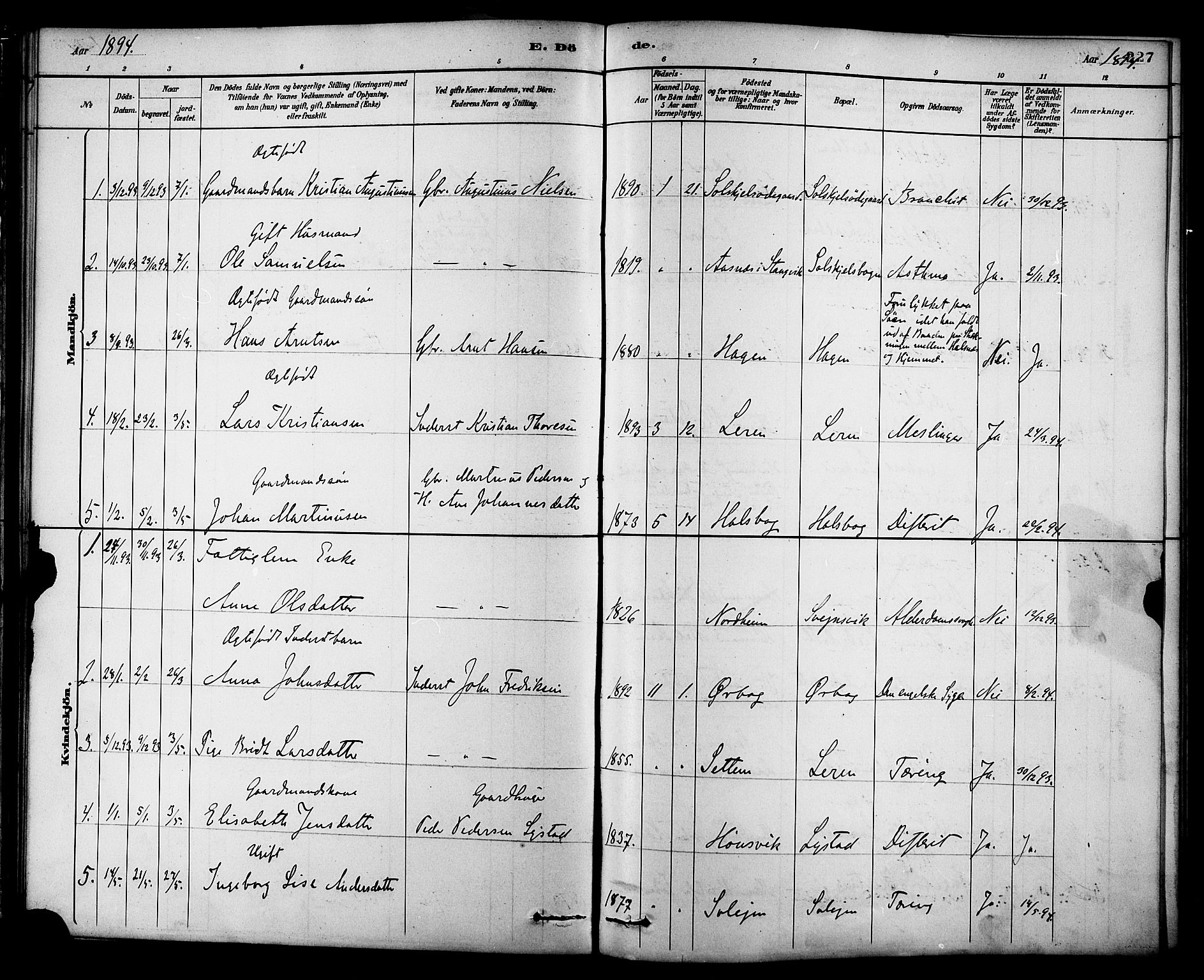 Ministerialprotokoller, klokkerbøker og fødselsregistre - Møre og Romsdal, AV/SAT-A-1454/577/L0896: Ministerialbok nr. 577A03, 1880-1898, s. 227