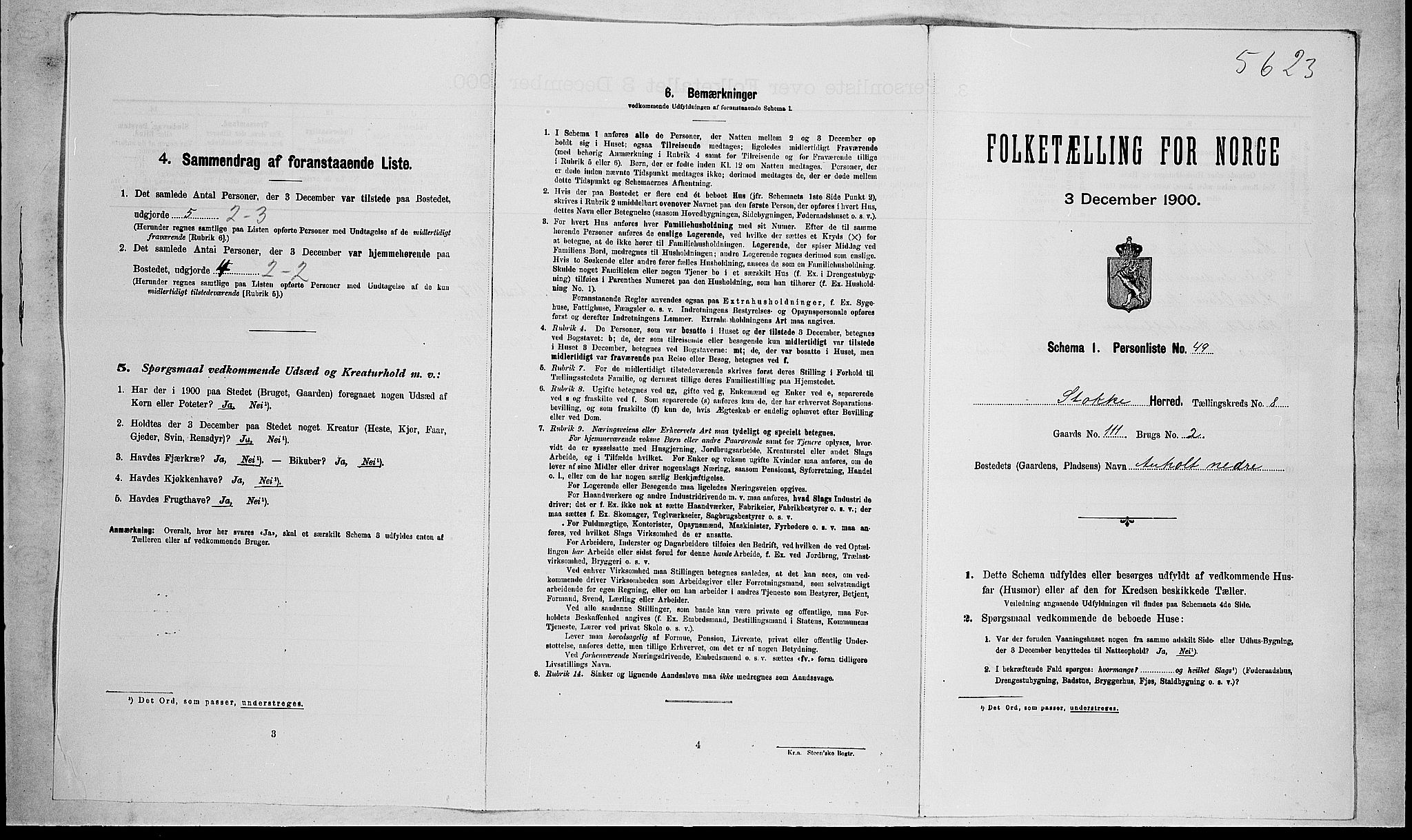 RA, Folketelling 1900 for 0720 Stokke herred, 1900, s. 1494