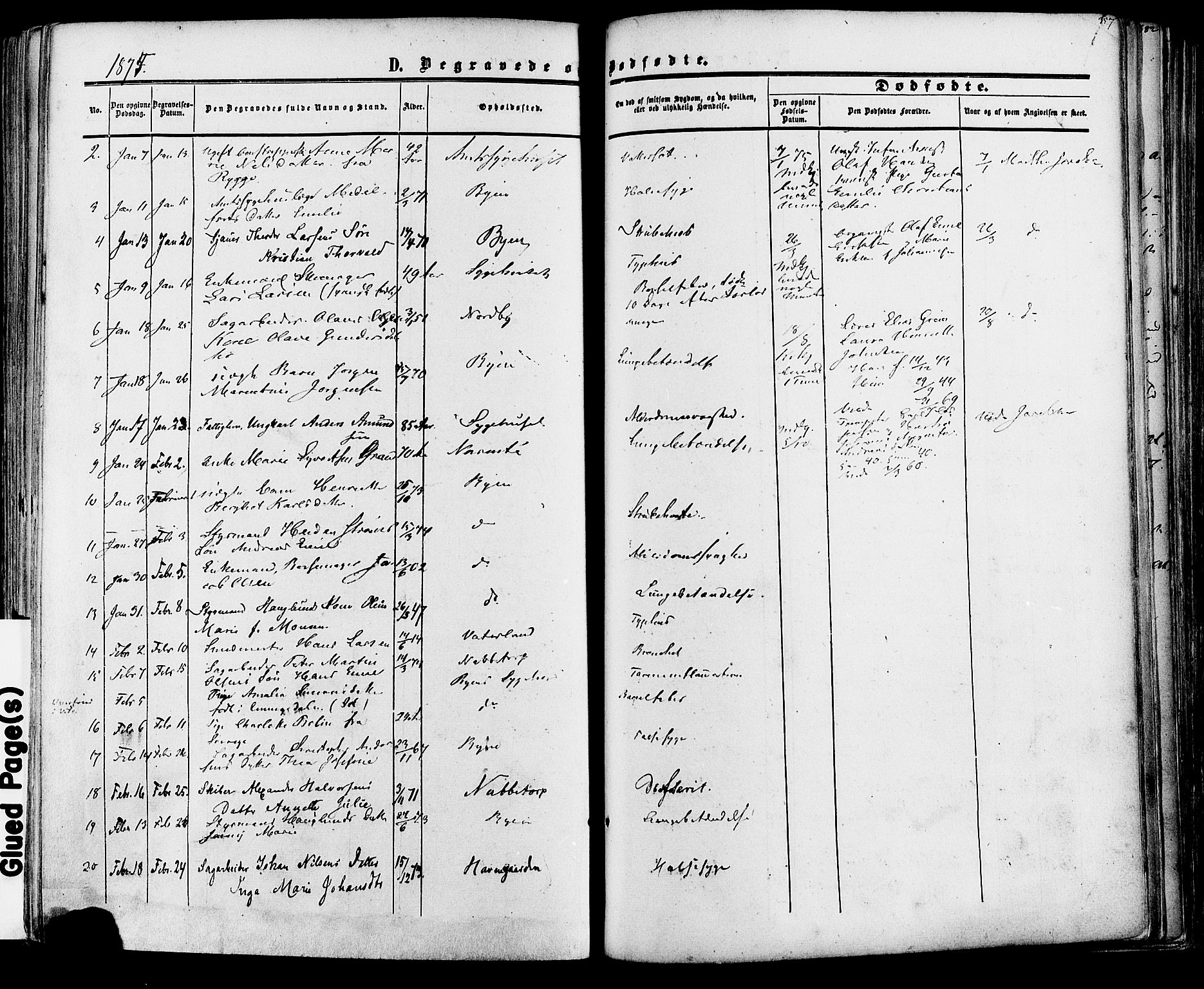 Fredrikstad prestekontor Kirkebøker, AV/SAO-A-11082/F/Fa/L0006: Ministerialbok nr. 6, 1857-1878, s. 357