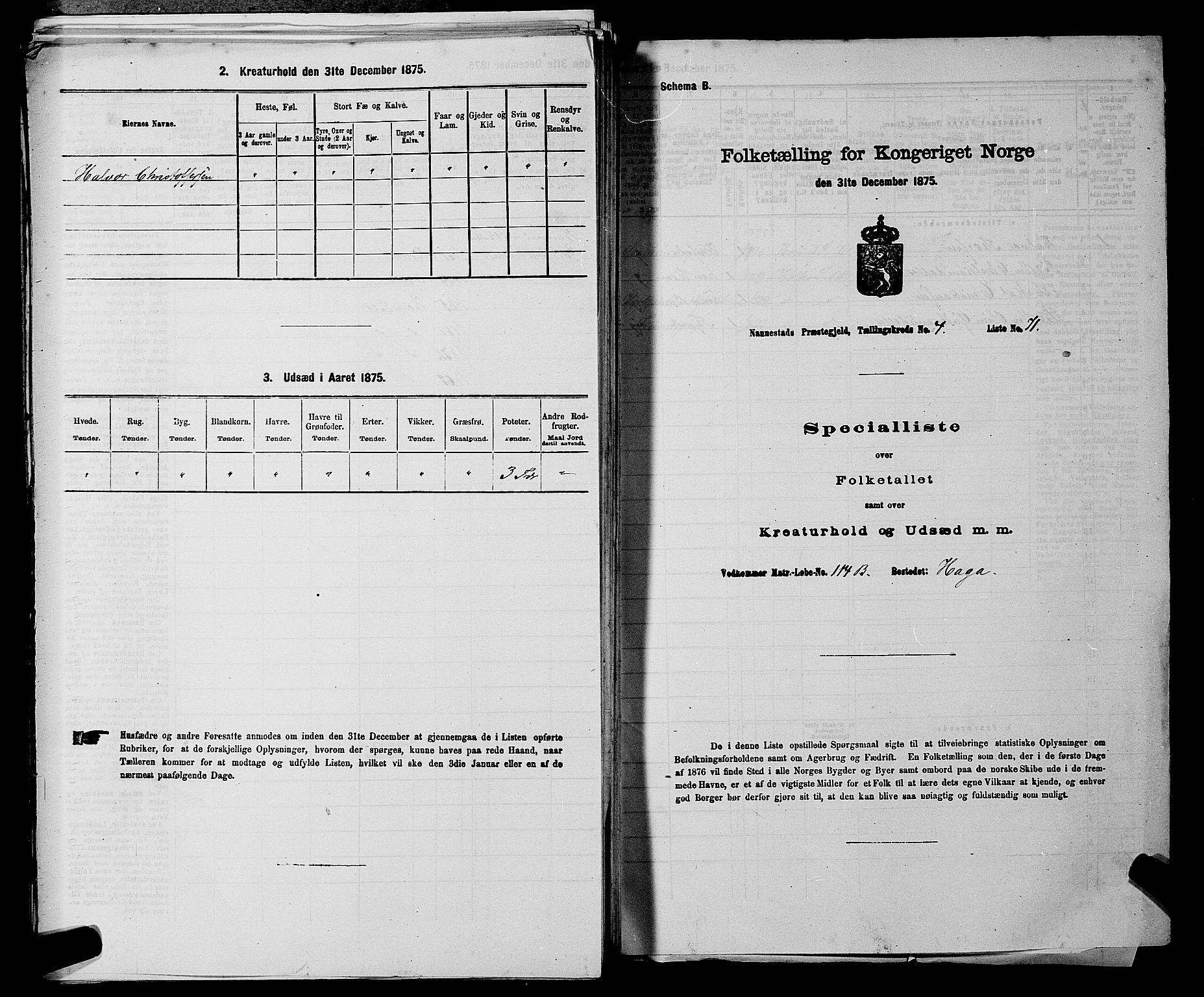 RA, Folketelling 1875 for 0238P Nannestad prestegjeld, 1875, s. 708