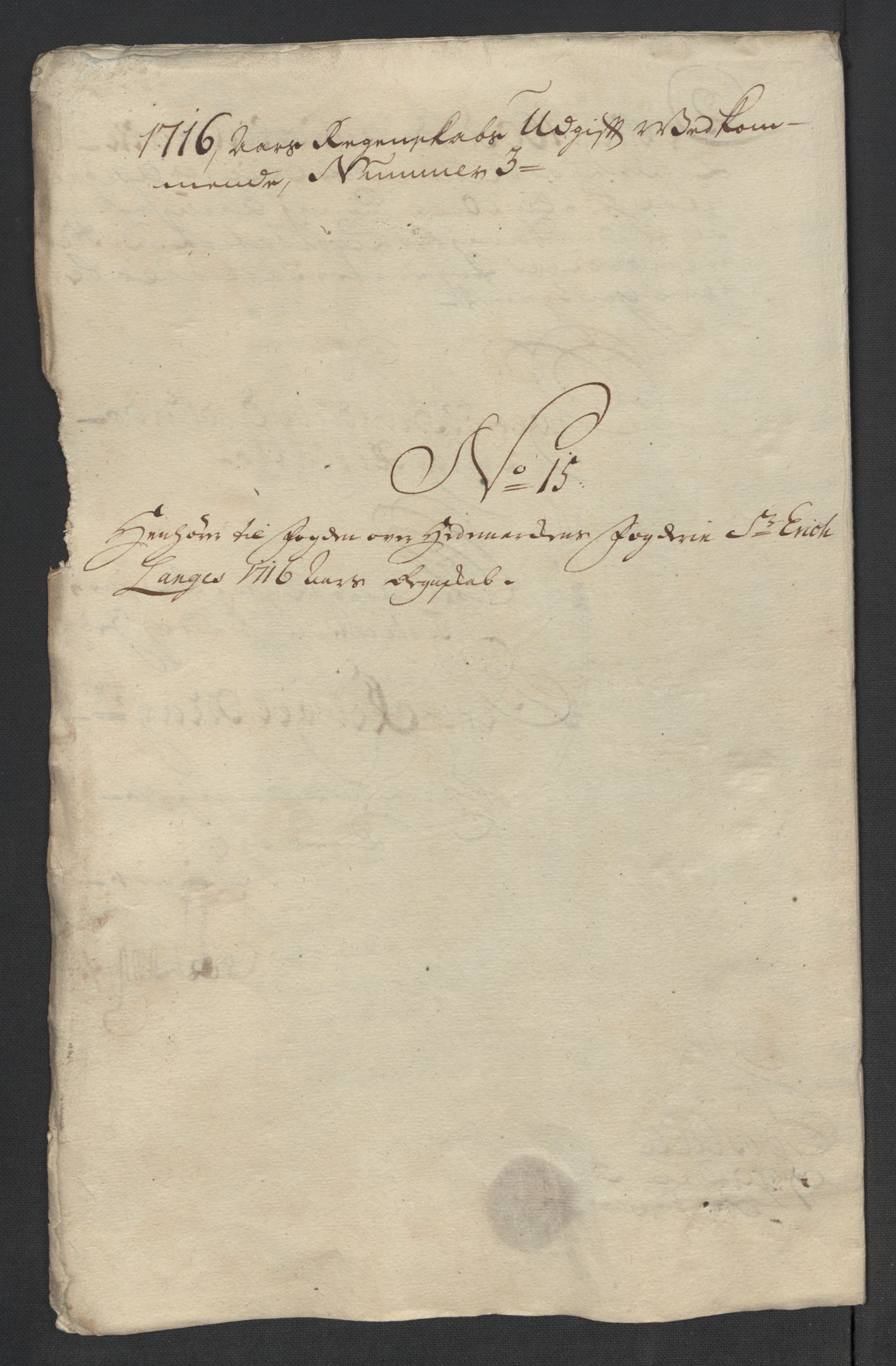 Rentekammeret inntil 1814, Reviderte regnskaper, Fogderegnskap, RA/EA-4092/R16/L1055: Fogderegnskap Hedmark, 1716, s. 300