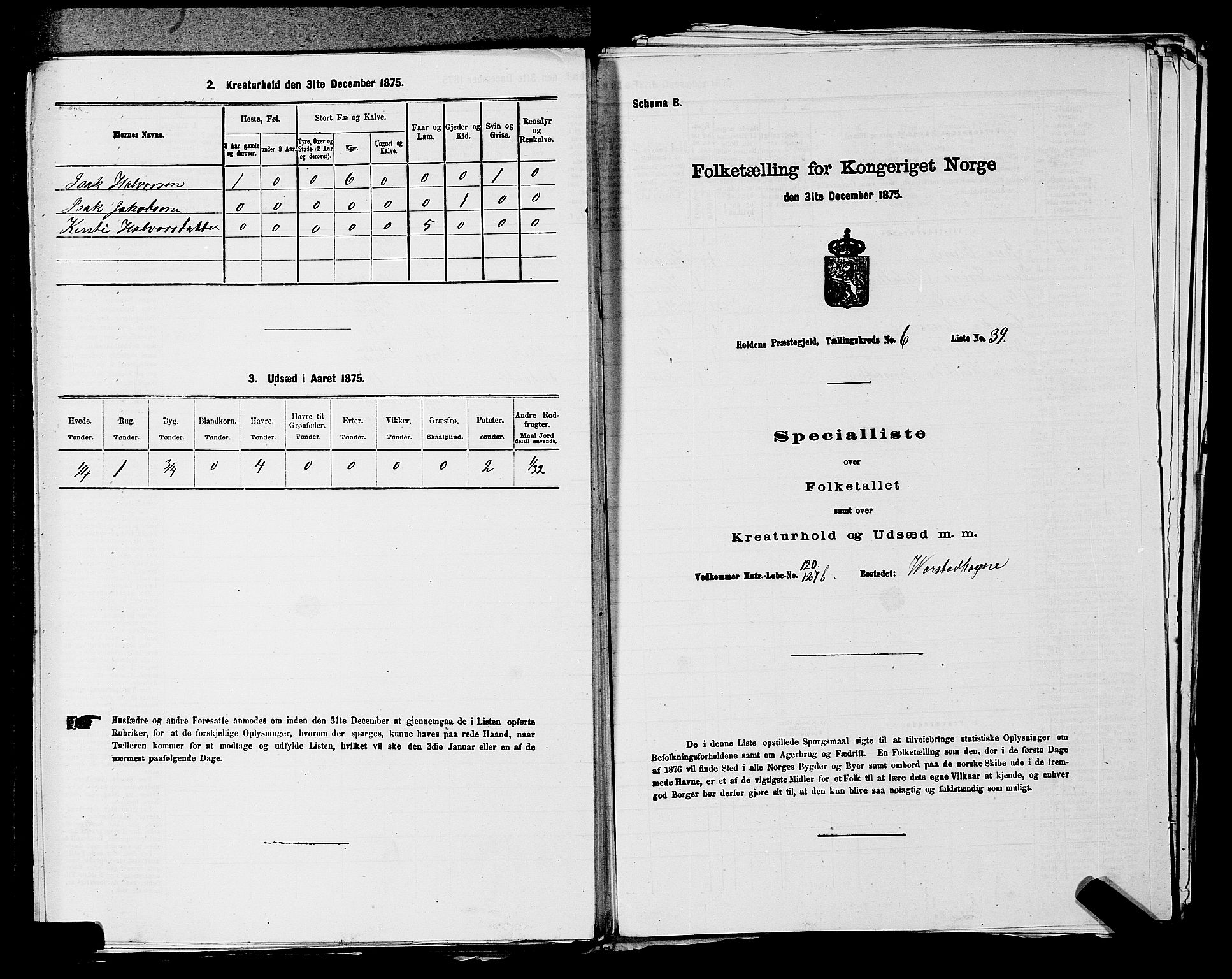 SAKO, Folketelling 1875 for 0819P Holla prestegjeld, 1875, s. 782