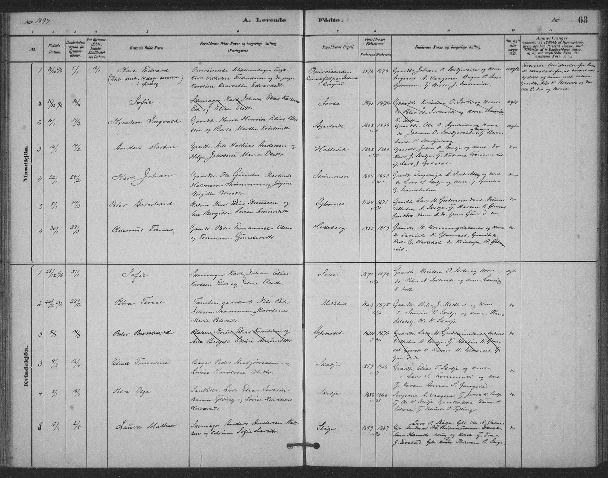 Ministerialprotokoller, klokkerbøker og fødselsregistre - Møre og Romsdal, SAT/A-1454/524/L0356: Ministerialbok nr. 524A08, 1880-1899, s. 63
