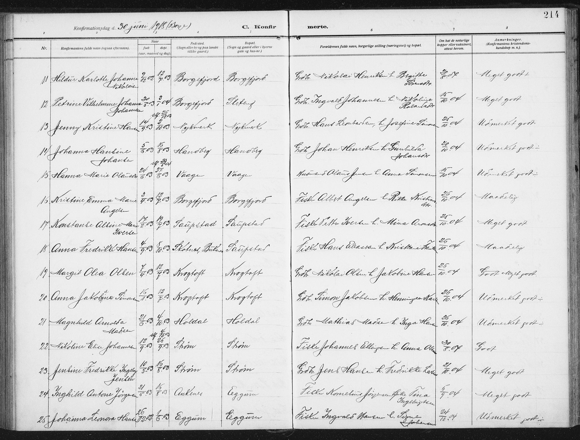 Ministerialprotokoller, klokkerbøker og fødselsregistre - Nordland, AV/SAT-A-1459/880/L1135: Ministerialbok nr. 880A09, 1908-1919, s. 214