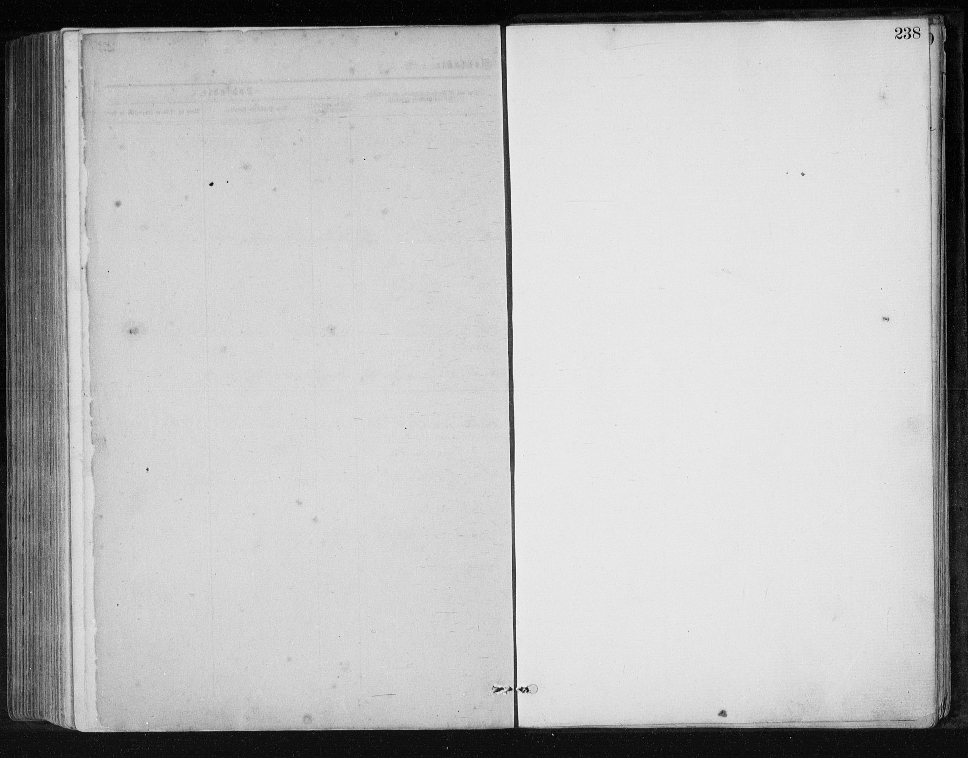 Holum sokneprestkontor, SAK/1111-0022/F/Fb/Fbb/L0003: Klokkerbok nr. B 3, 1875-1898, s. 238