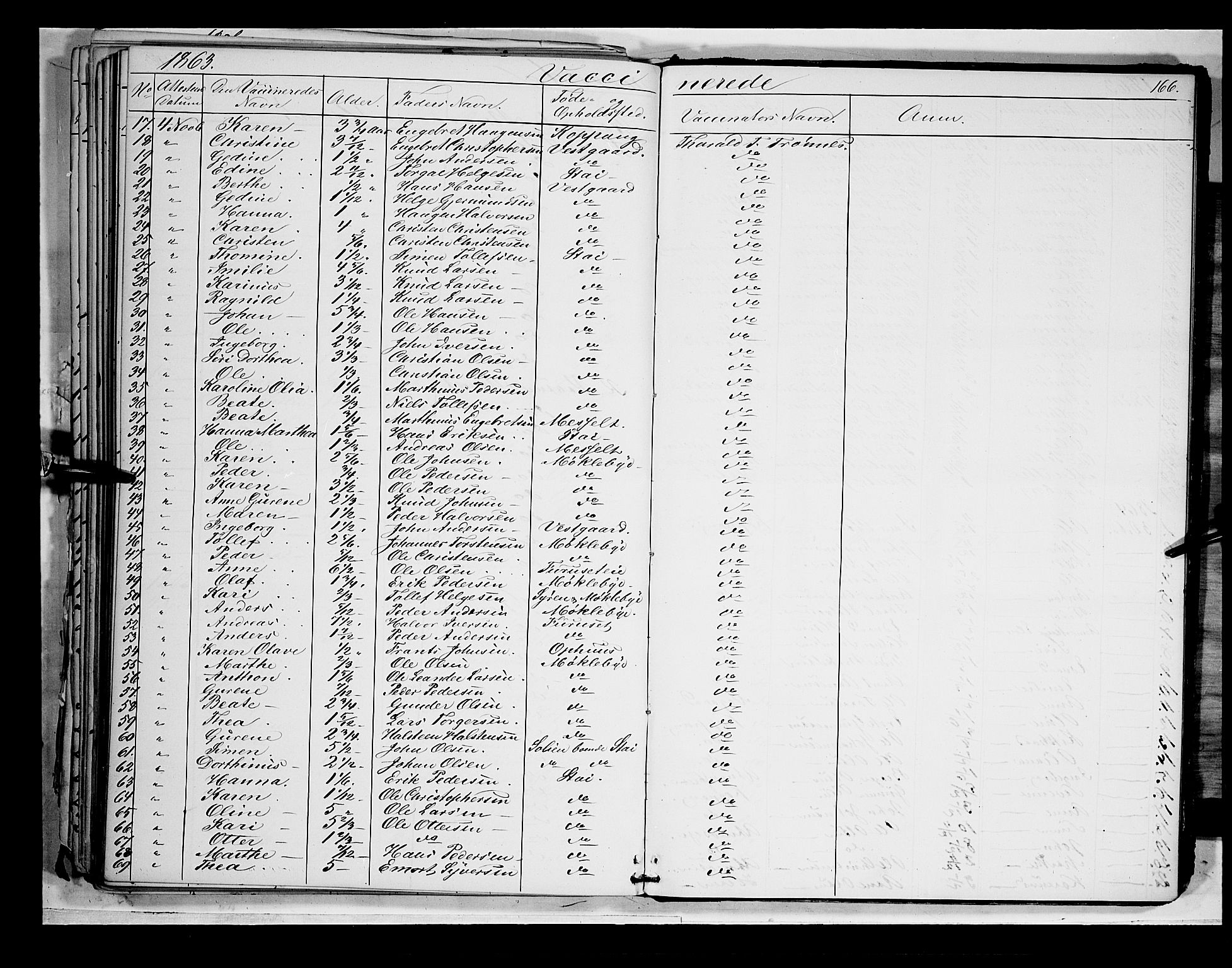 Åmot prestekontor, Hedmark, AV/SAH-PREST-056/H/Ha/Haa/L0007: Ministerialbok nr. 7, 1860-1870, s. 166