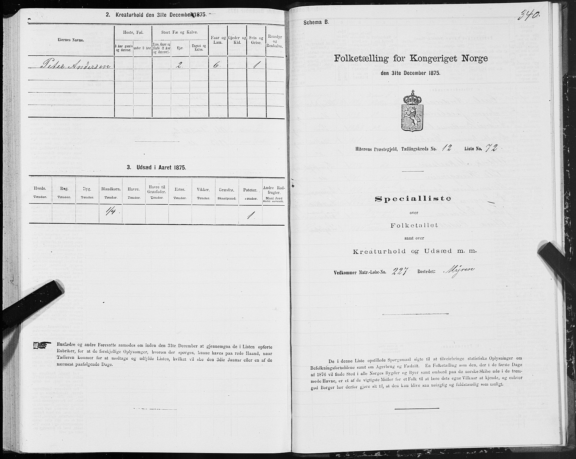 SAT, Folketelling 1875 for 1617P Hitra prestegjeld, 1875, s. 6340