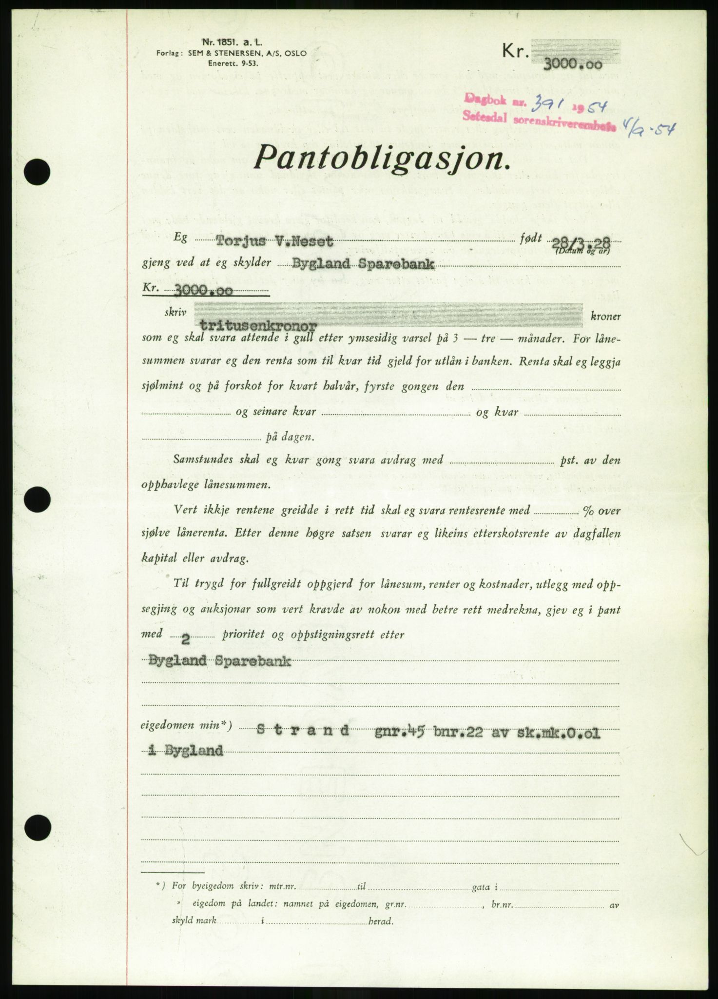 Setesdal sorenskriveri, SAK/1221-0011/G/Gb/L0052: Pantebok nr. B 40, 1954-1955, Dagboknr: 391/1954