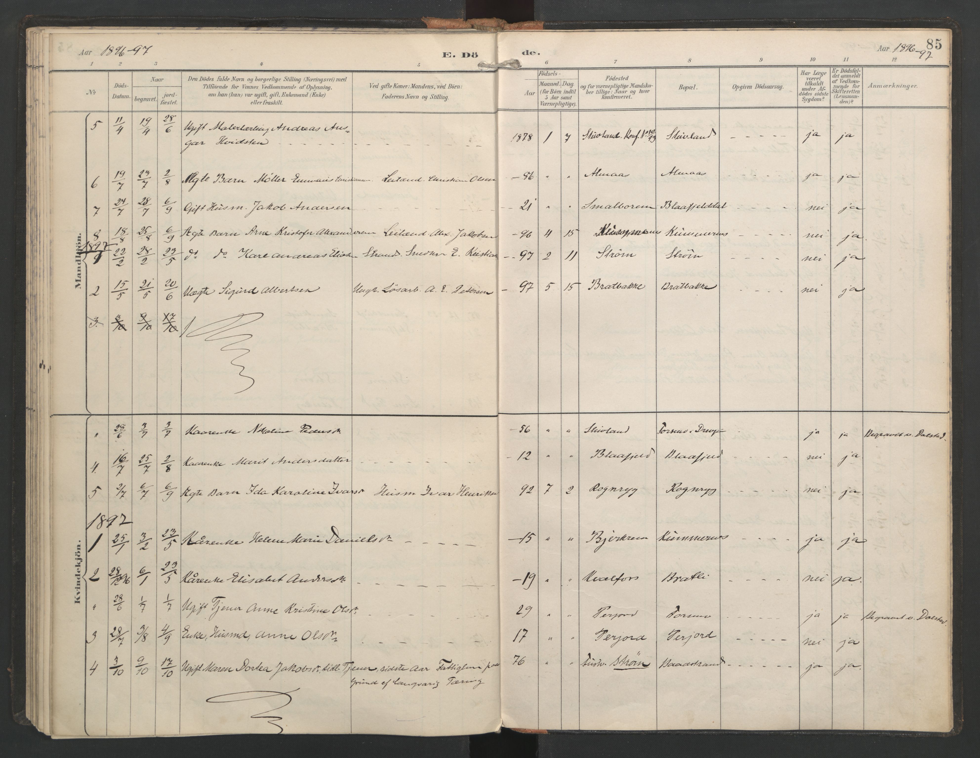 Ministerialprotokoller, klokkerbøker og fødselsregistre - Nordland, SAT/A-1459/821/L0317: Ministerialbok nr. 821A01, 1892-1907, s. 85