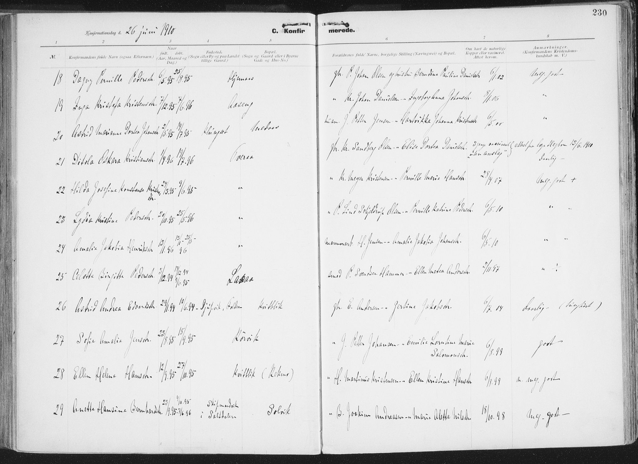 Ministerialprotokoller, klokkerbøker og fødselsregistre - Nordland, AV/SAT-A-1459/849/L0696: Ministerialbok nr. 849A08, 1898-1910, s. 230