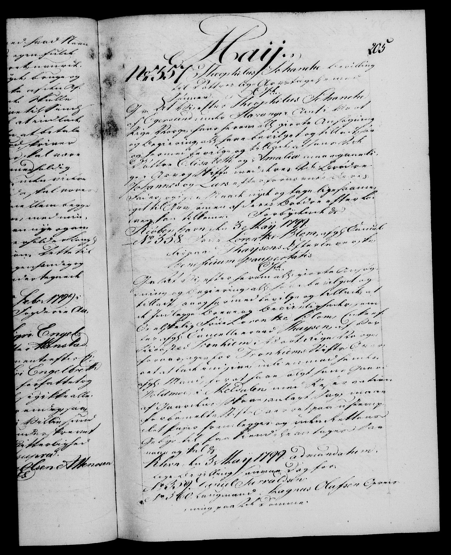 Danske Kanselli 1572-1799, AV/RA-EA-3023/F/Fc/Fca/Fcaa/L0059: Norske registre, 1799, s. 205a