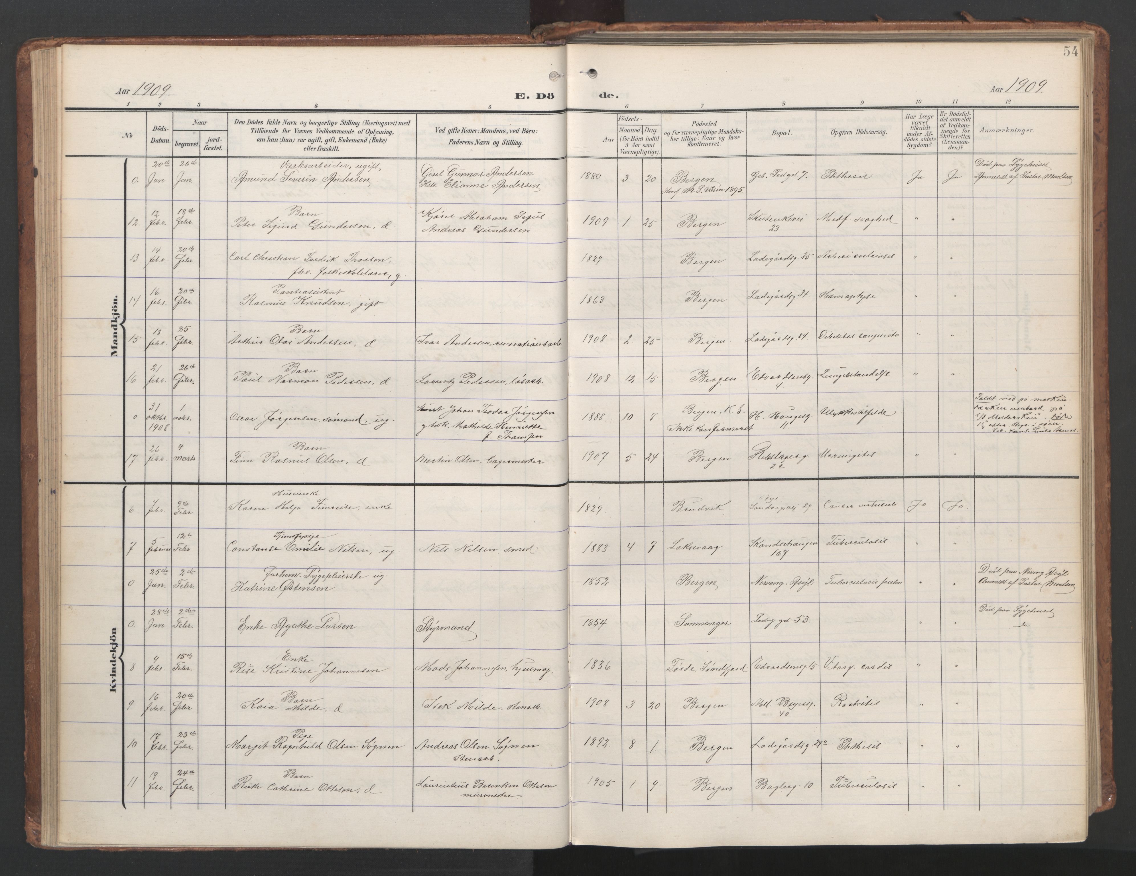 Sandviken Sokneprestembete, SAB/A-77601/H/Ha/L0019: Ministerialbok nr. E 2, 1905-1933, s. 54