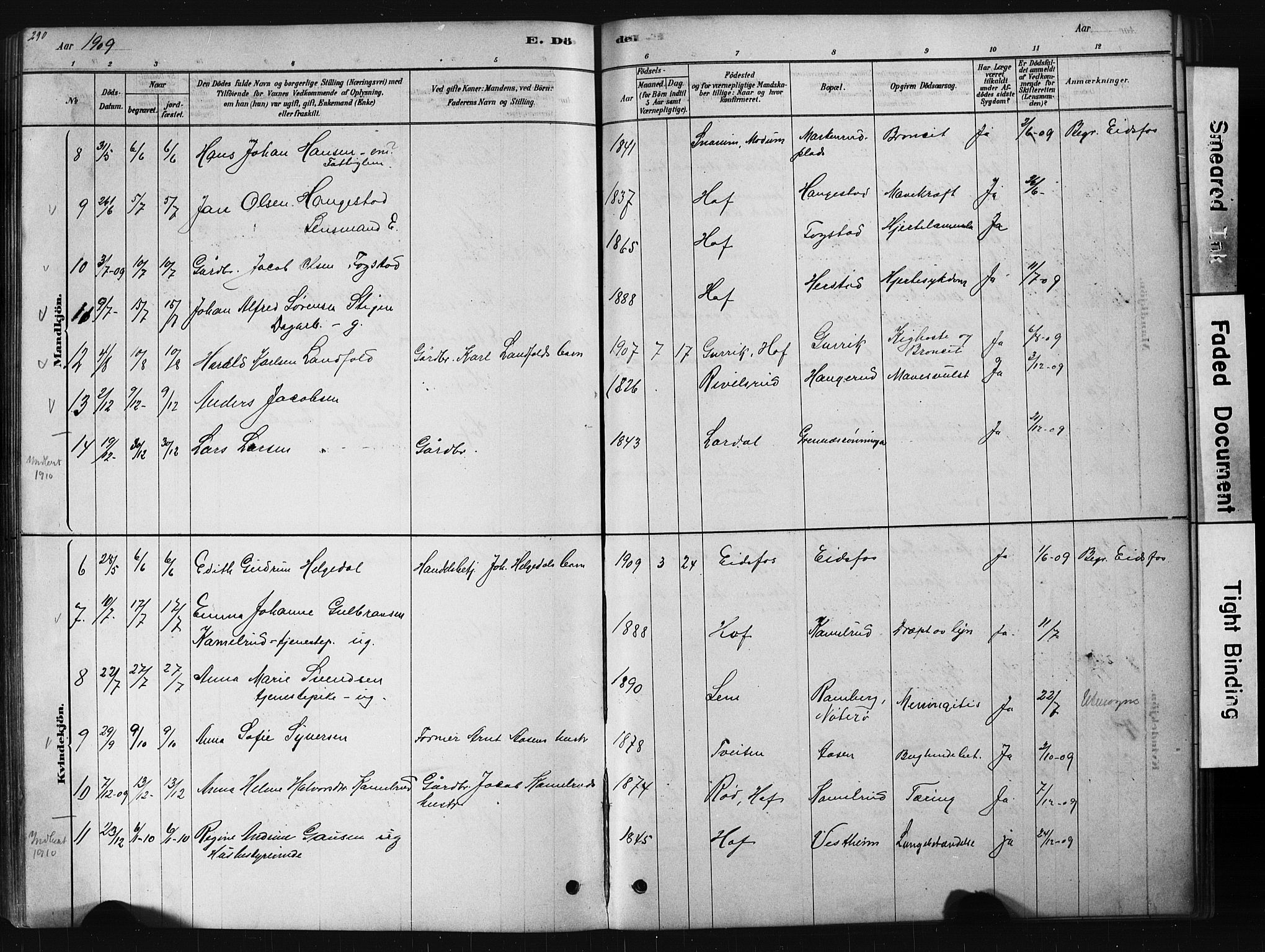 Hof kirkebøker, AV/SAKO-A-64/G/Ga/L0004: Klokkerbok nr. I 4, 1878-1930, s. 290