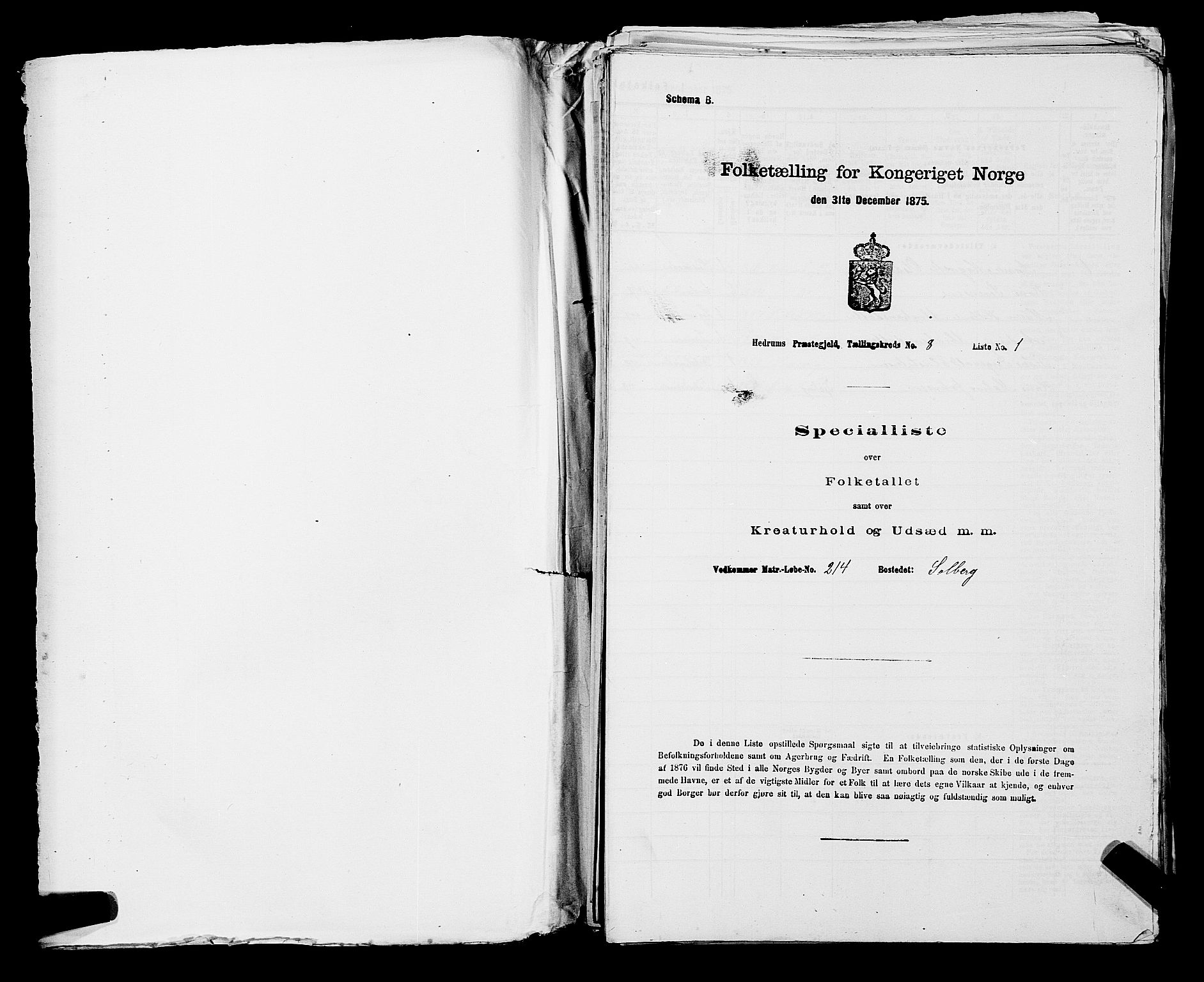 SAKO, Folketelling 1875 for 0727P Hedrum prestegjeld, 1875, s. 706