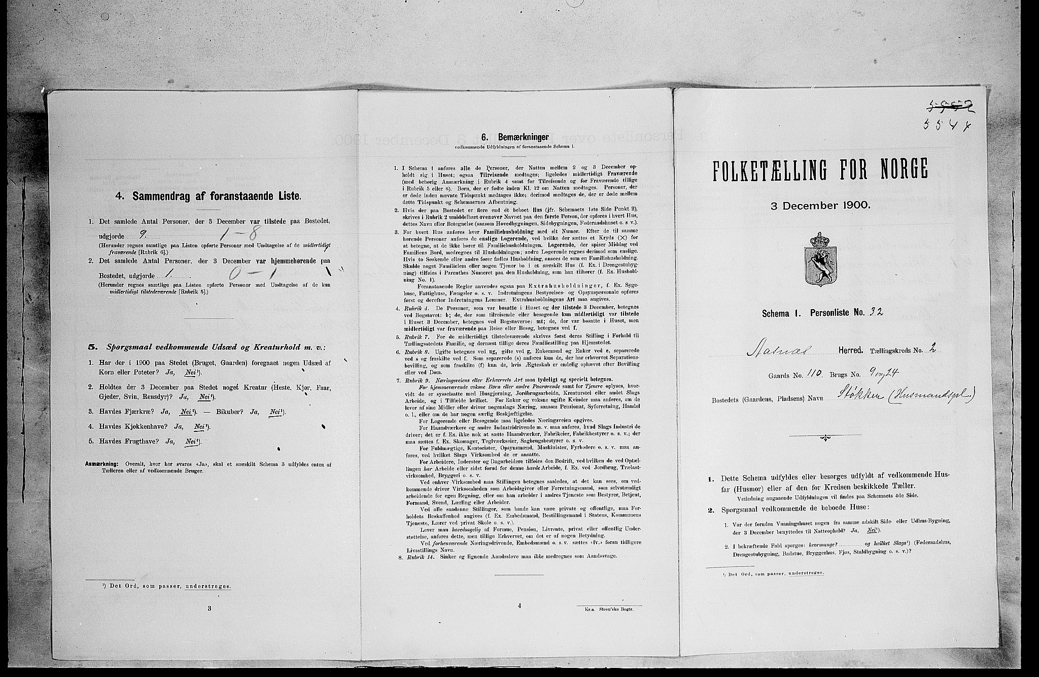 SAH, Folketelling 1900 for 0425 Åsnes herred, 1900, s. 315