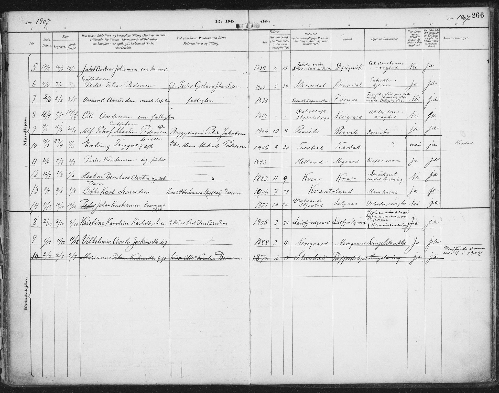 Ministerialprotokoller, klokkerbøker og fødselsregistre - Nordland, AV/SAT-A-1459/854/L0779: Ministerialbok nr. 854A02, 1892-1909, s. 266