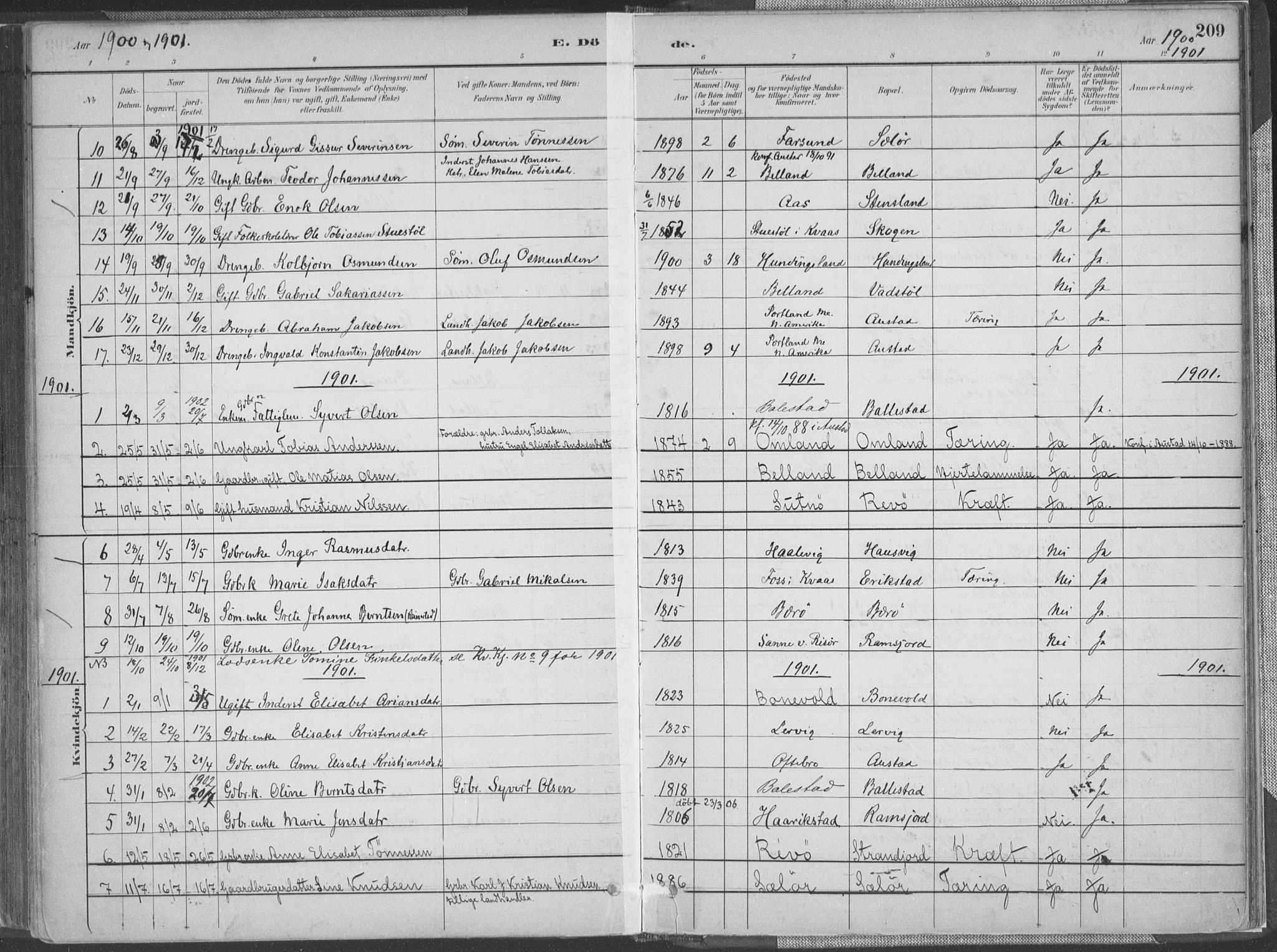 Lyngdal sokneprestkontor, AV/SAK-1111-0029/F/Fa/Faa/L0004: Ministerialbok nr. A 4, 1883-1904, s. 209
