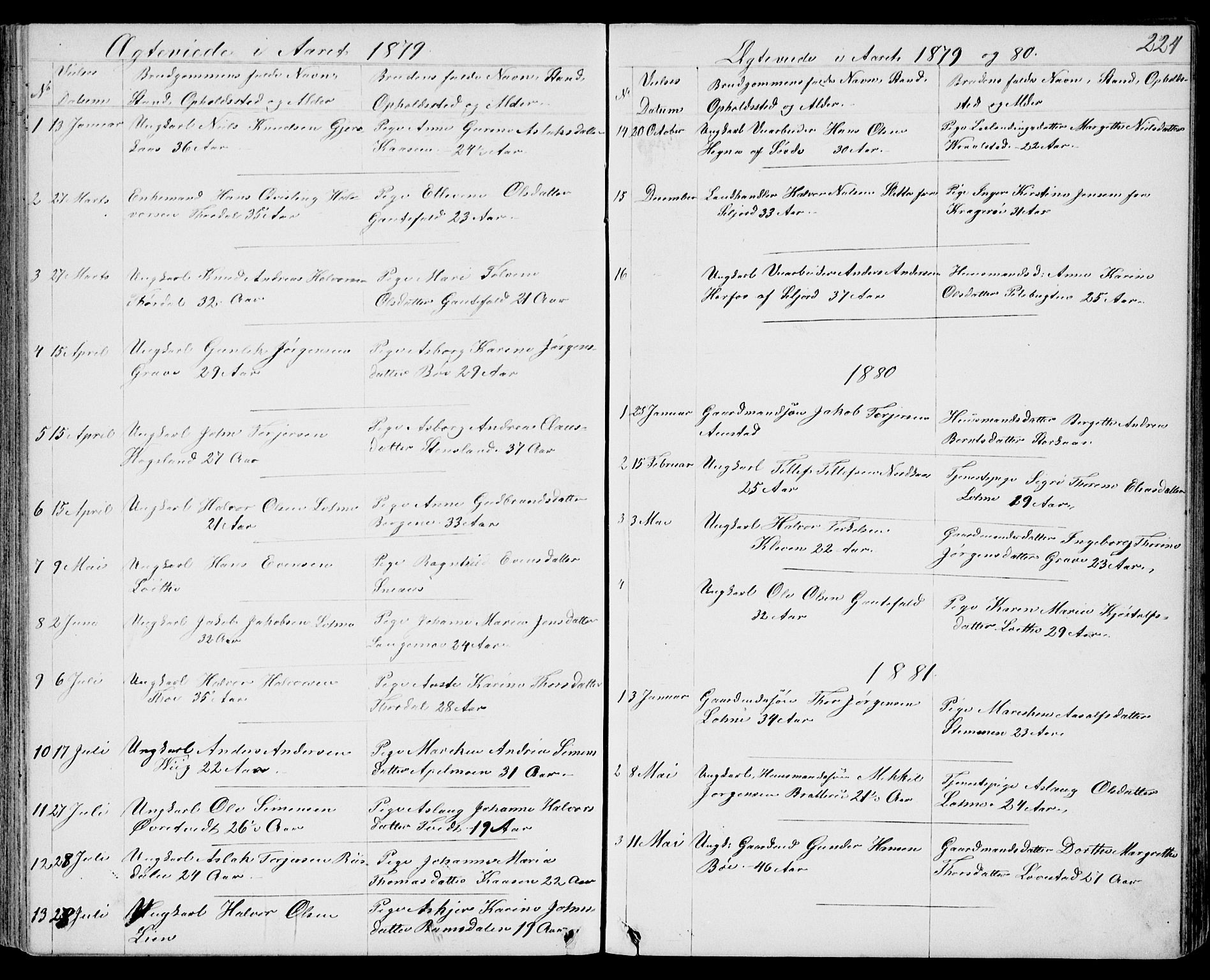 Drangedal kirkebøker, AV/SAKO-A-258/G/Gb/L0001: Klokkerbok nr. II 1, 1856-1894, s. 224