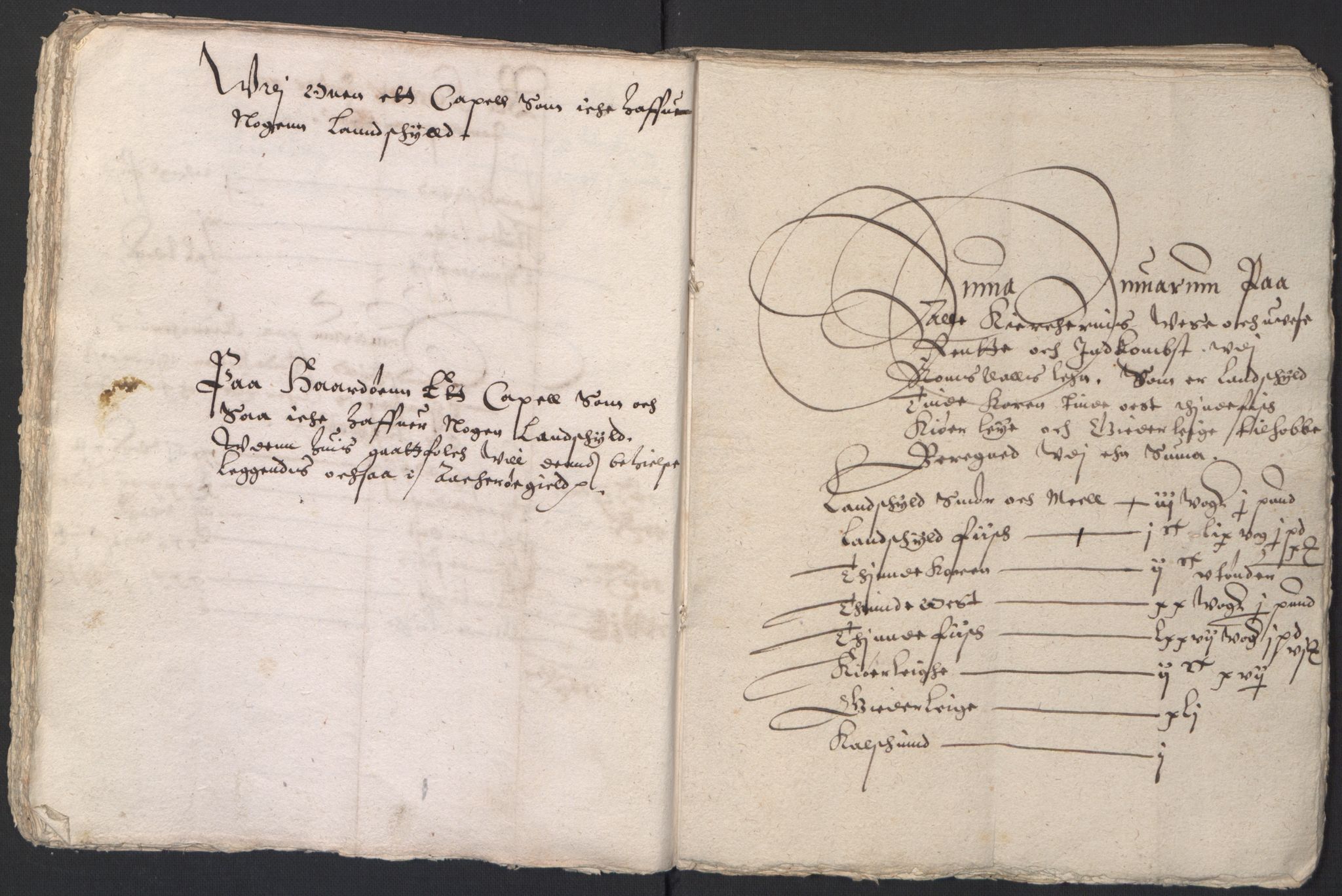 Stattholderembetet 1572-1771, AV/RA-EA-2870/Ek/L0016/0001: Jordebøker til utlikning av rosstjeneste 1624-1626: / Kirke- og prestebolsinntekter i Trondheim bispedømme og Jemtland, 1625-1626, s. 99