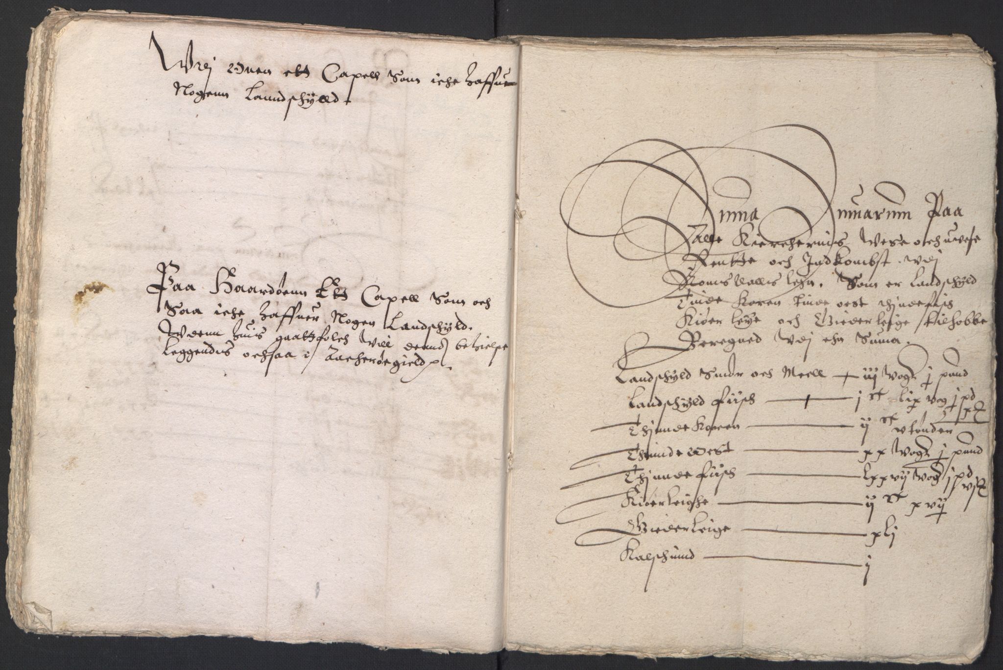 Stattholderembetet 1572-1771, RA/EA-2870/Ek/L0016/0001: Jordebøker til utlikning av rosstjeneste 1624-1626: / Kirke- og prestebolsinntekter i Trondheim bispedømme og Jemtland, 1625-1626, s. 99