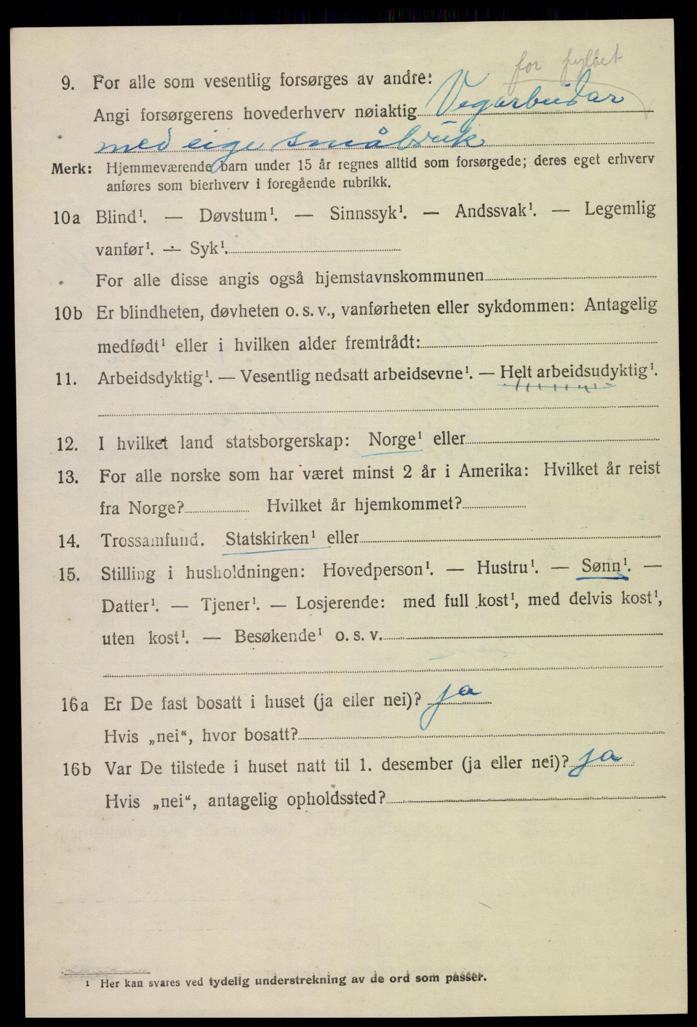 SAK, Folketelling 1920 for 0936 Hornnes herred, 1920, s. 1164