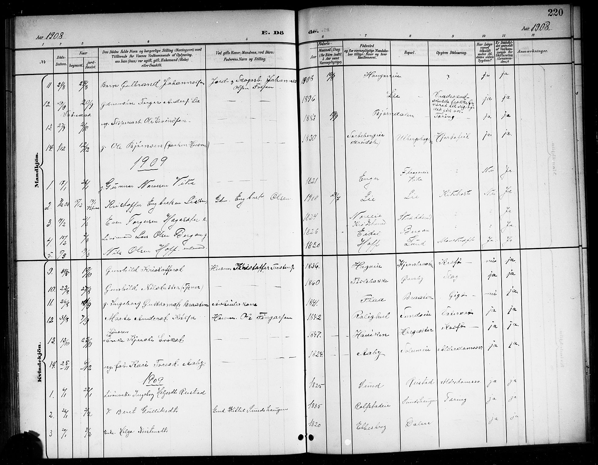 Sigdal kirkebøker, AV/SAKO-A-245/G/Ga/L0006: Klokkerbok nr. I 6, 1901-1916, s. 220