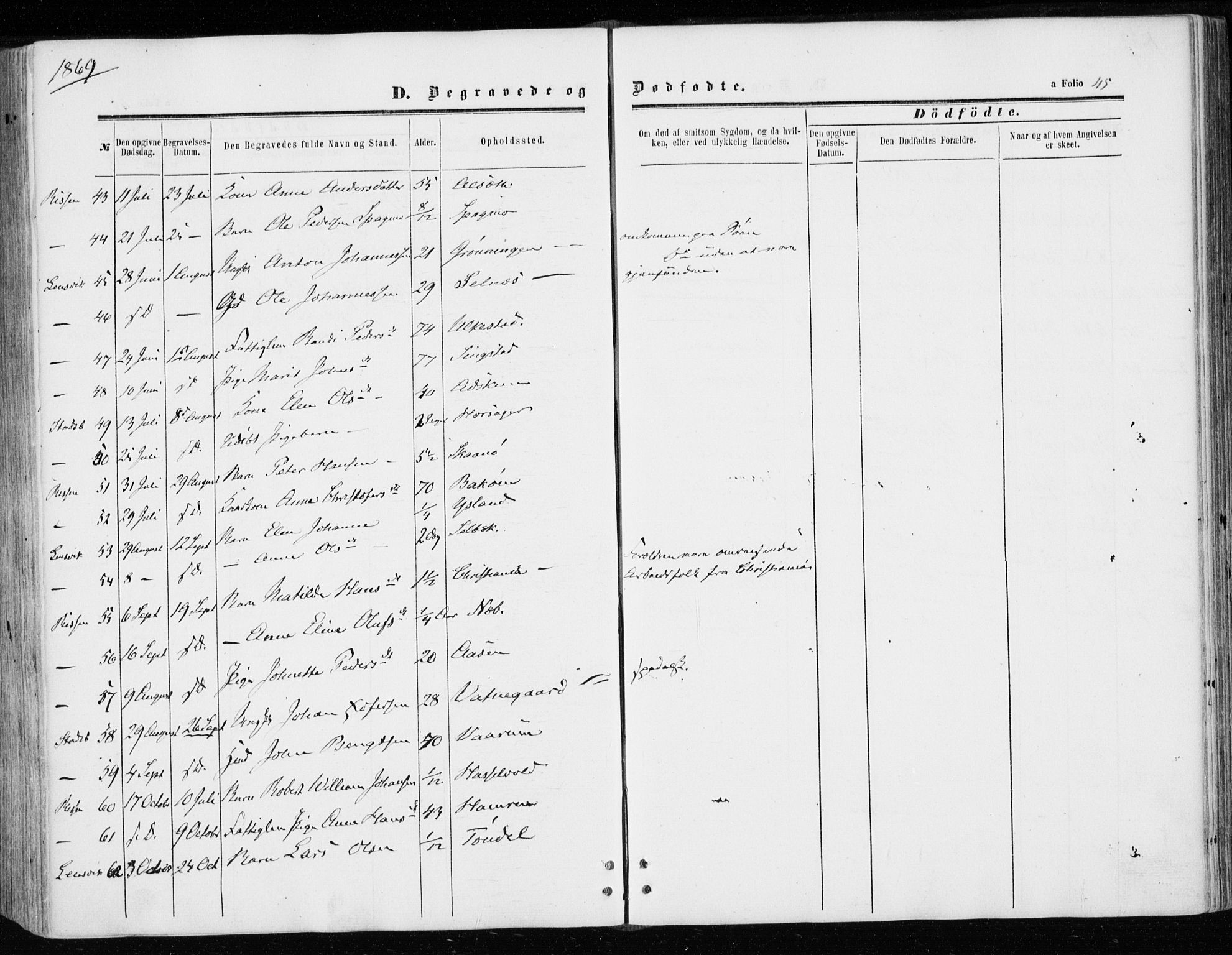 Ministerialprotokoller, klokkerbøker og fødselsregistre - Sør-Trøndelag, SAT/A-1456/646/L0612: Ministerialbok nr. 646A10, 1858-1869, s. 45