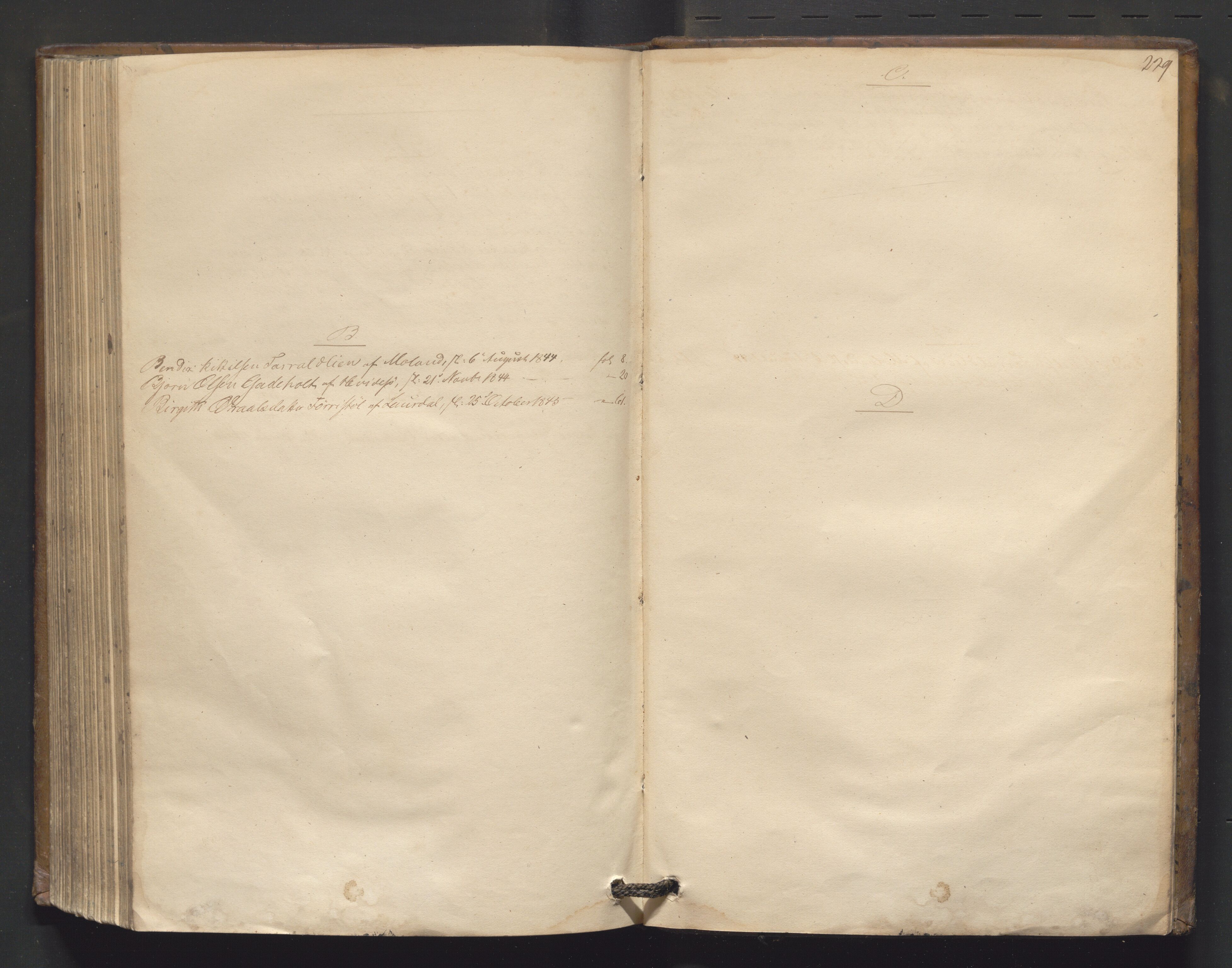 Vest-Telemark sorenskriveri, AV/SAKO-A-134/H/Ha/Hac/L0002: Skifteutlodningsprotokoll, 1844-1847, s. 228b-229a