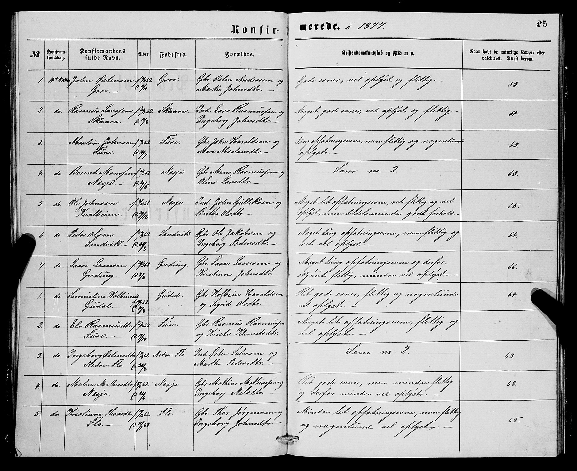 Stryn Sokneprestembete, AV/SAB-A-82501: Klokkerbok nr. C 2, 1877-1881, s. 25