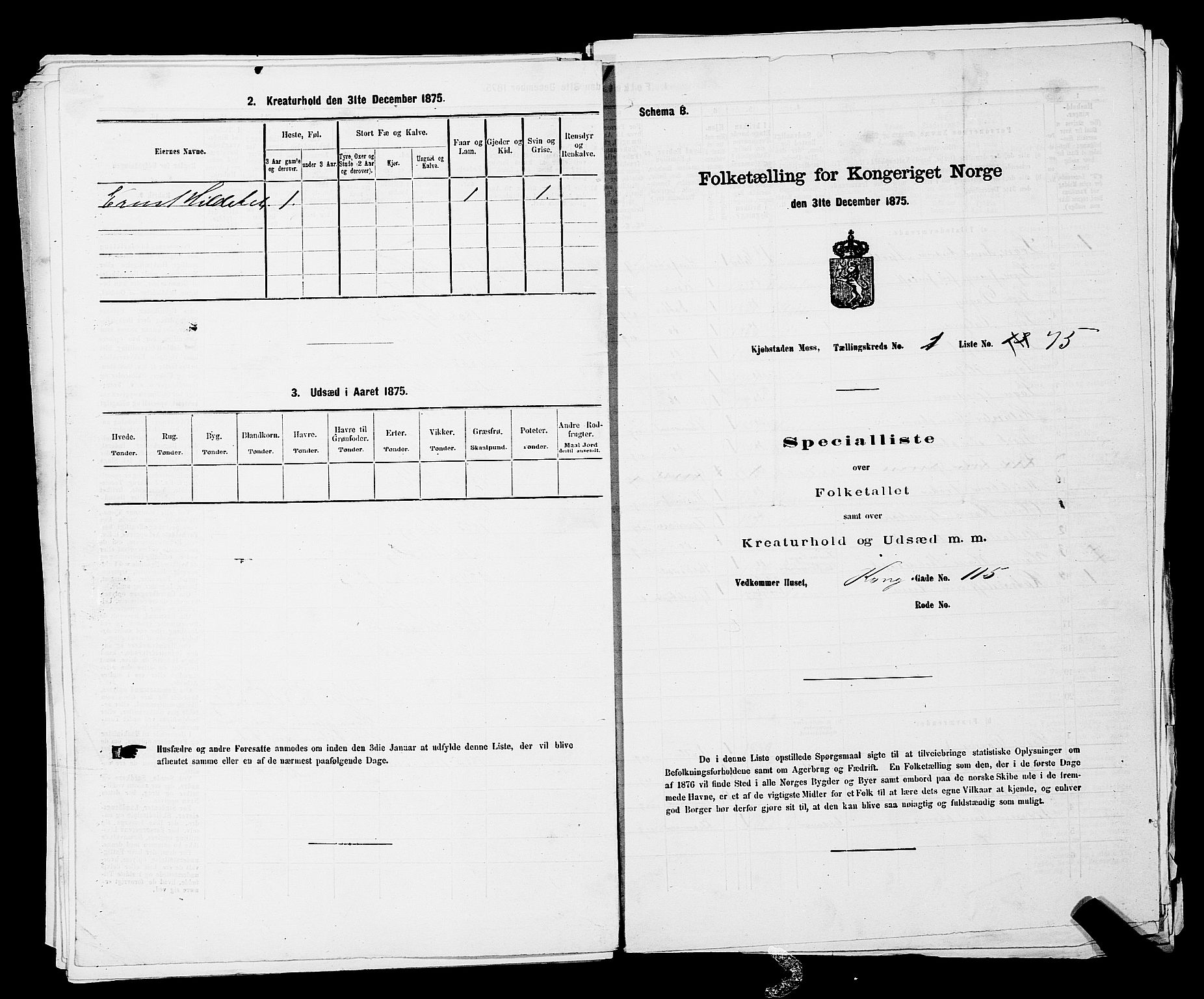RA, Folketelling 1875 for 0104B Moss prestegjeld, Moss kjøpstad, 1875, s. 175