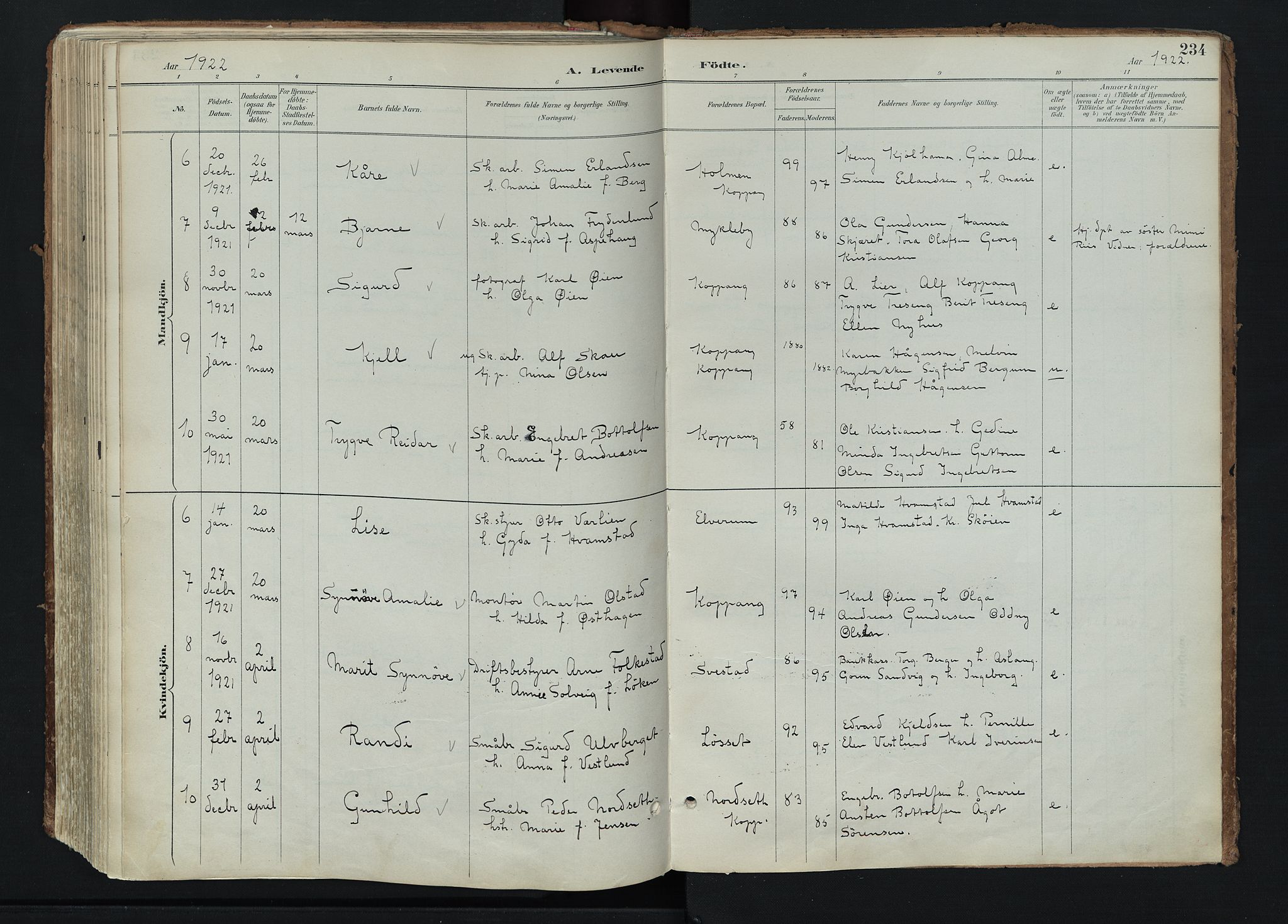 Stor-Elvdal prestekontor, AV/SAH-PREST-052/H/Ha/Haa/L0004: Ministerialbok nr. 4, 1890-1922, s. 234