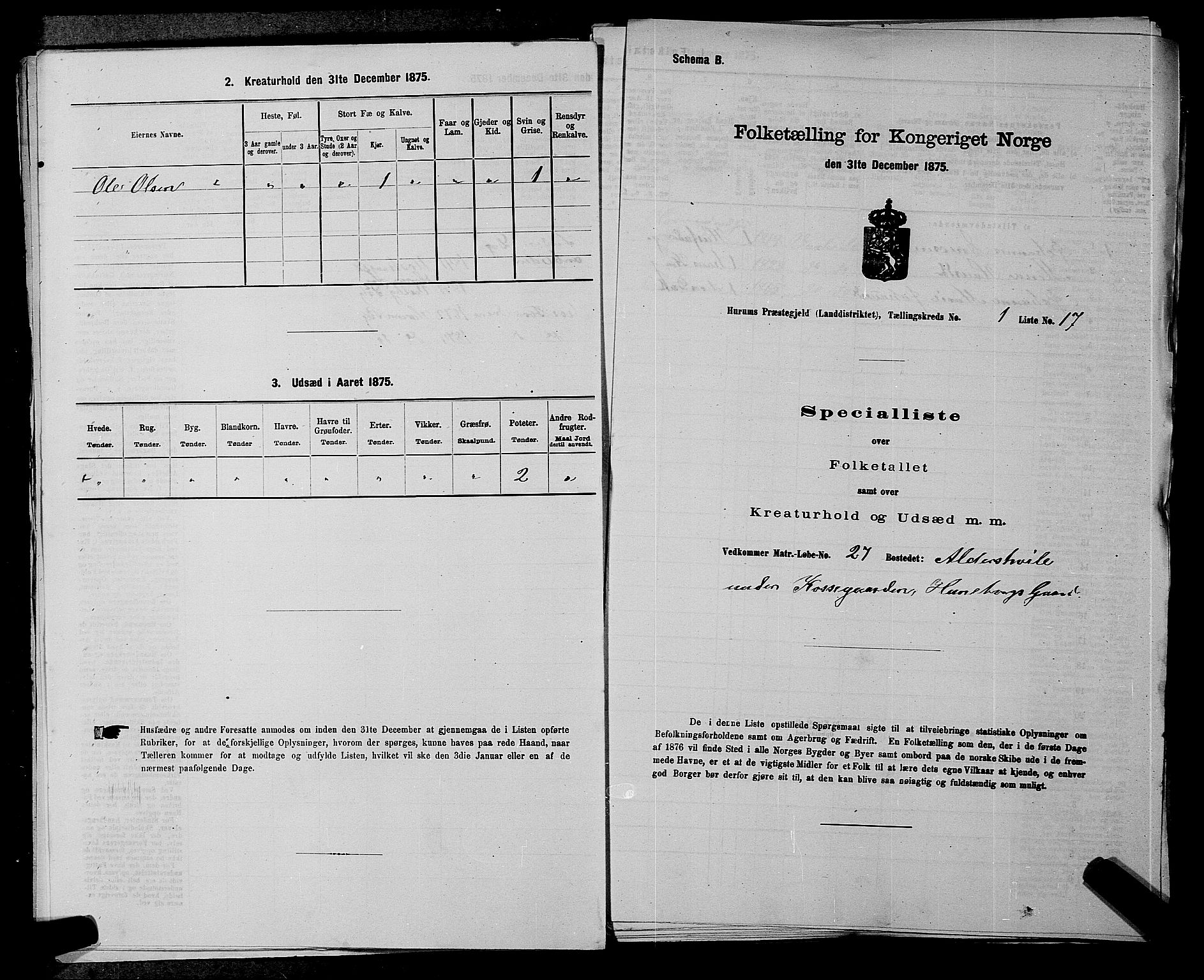 SAKO, Folketelling 1875 for 0628L Hurum prestegjeld, Hurum sokn, 1875, s. 43