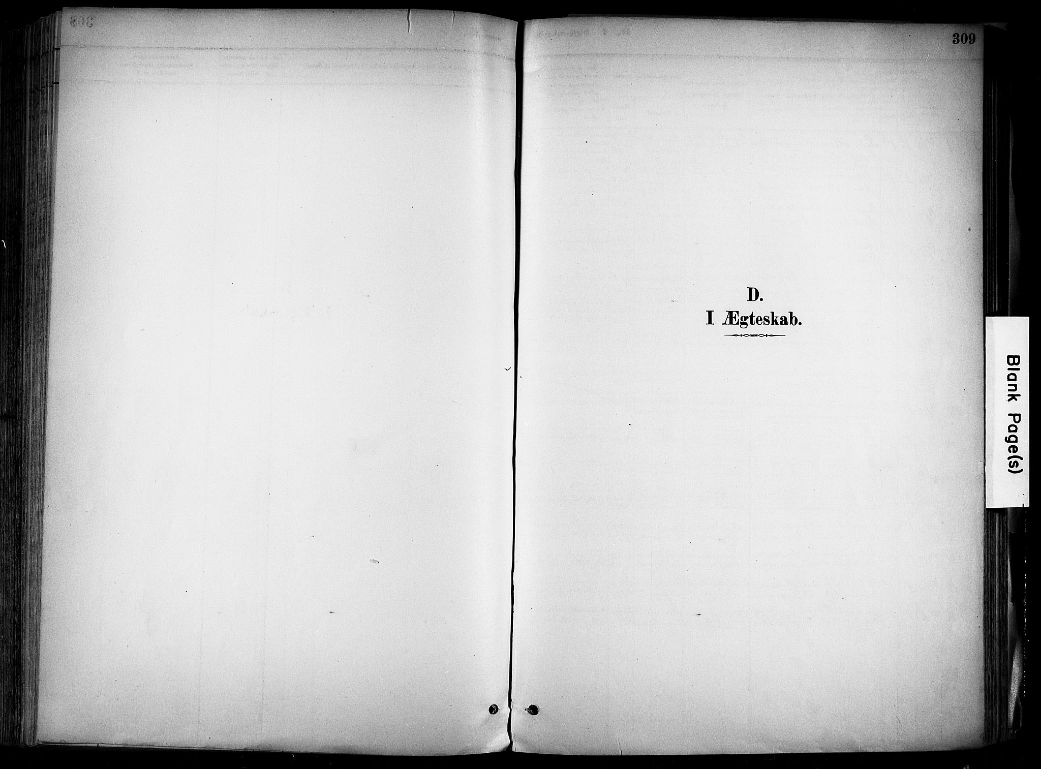 Alvdal prestekontor, SAH/PREST-060/H/Ha/Haa/L0002: Ministerialbok nr. 2, 1883-1906, s. 309