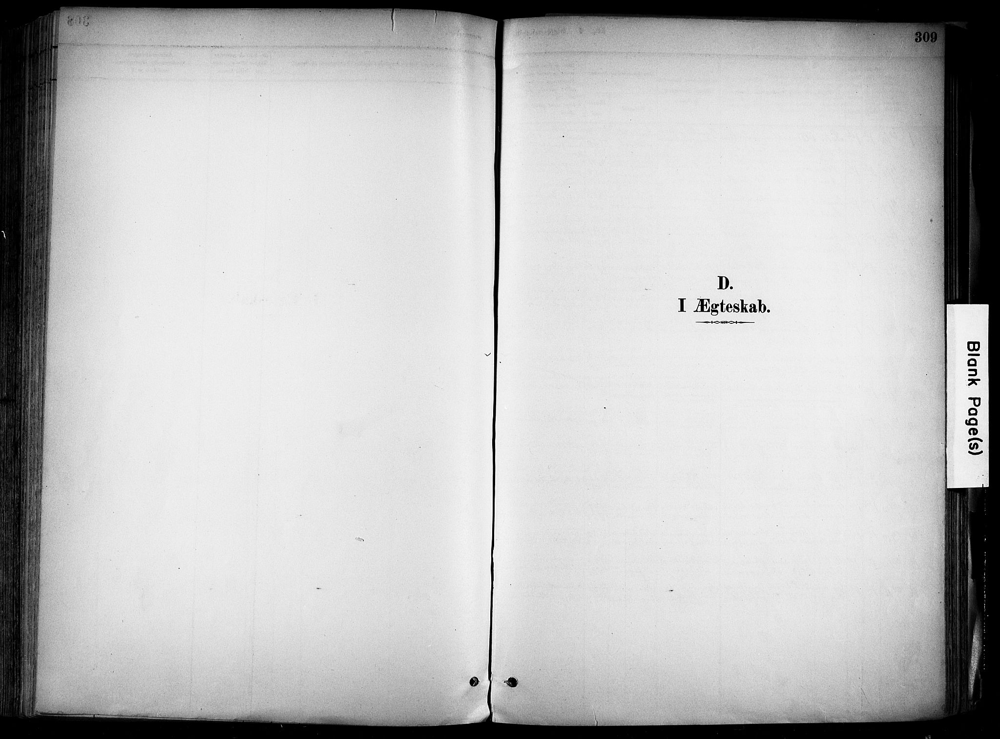 Alvdal prestekontor, AV/SAH-PREST-060/H/Ha/Haa/L0002: Ministerialbok nr. 2, 1883-1906, s. 309
