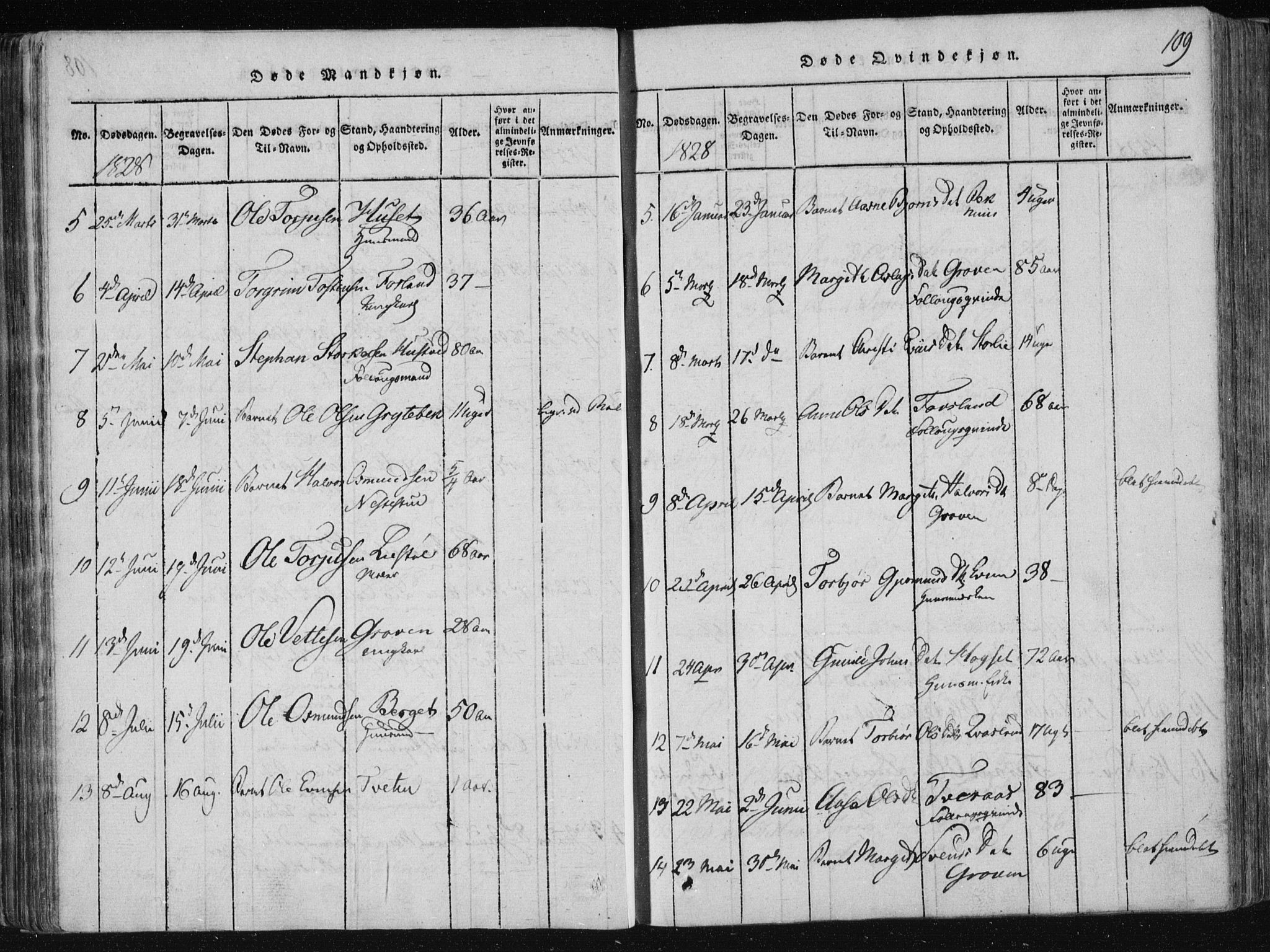 Vinje kirkebøker, AV/SAKO-A-312/F/Fa/L0003: Ministerialbok nr. I 3, 1814-1843, s. 109