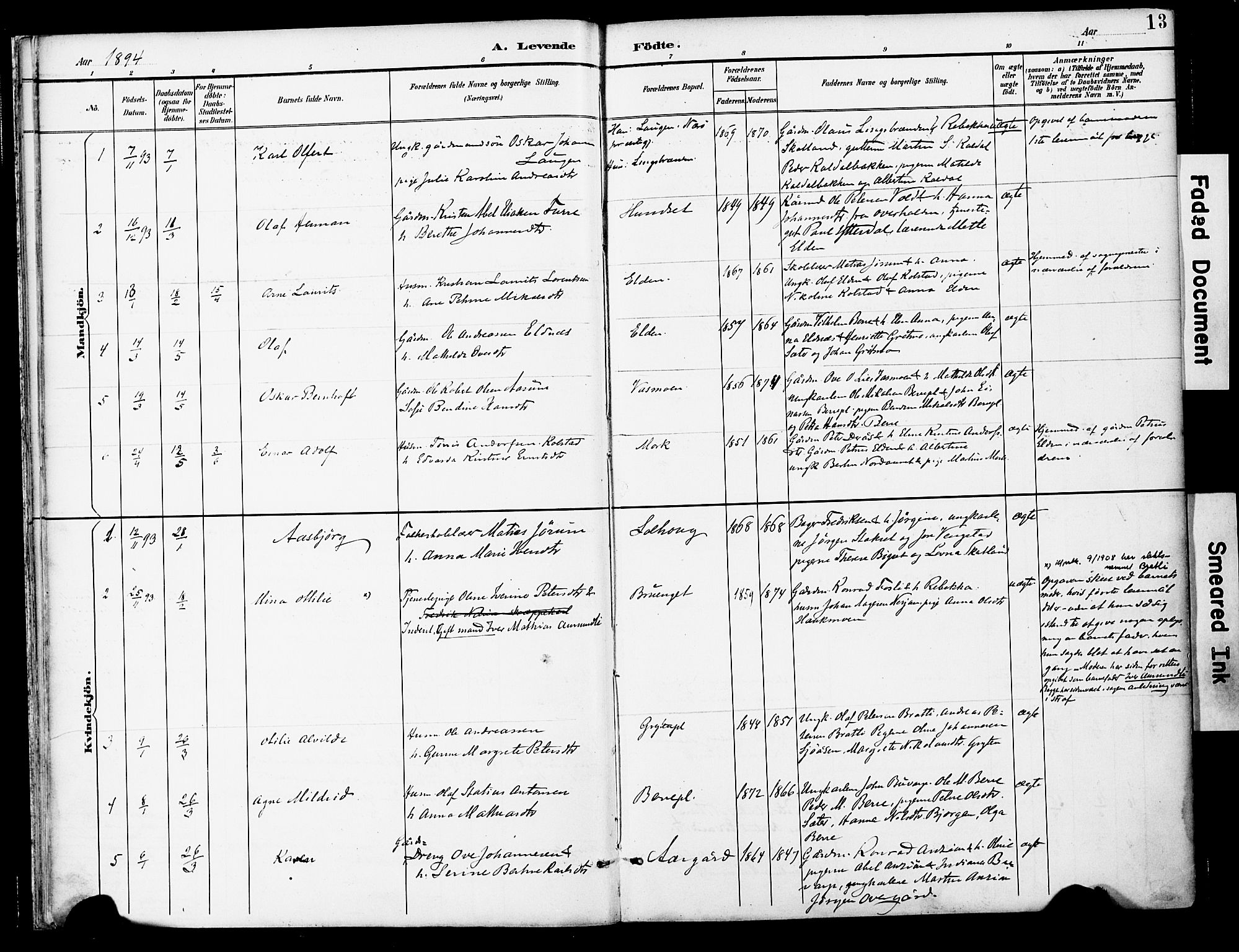 Ministerialprotokoller, klokkerbøker og fødselsregistre - Nord-Trøndelag, AV/SAT-A-1458/742/L0409: Ministerialbok nr. 742A02, 1891-1905, s. 13
