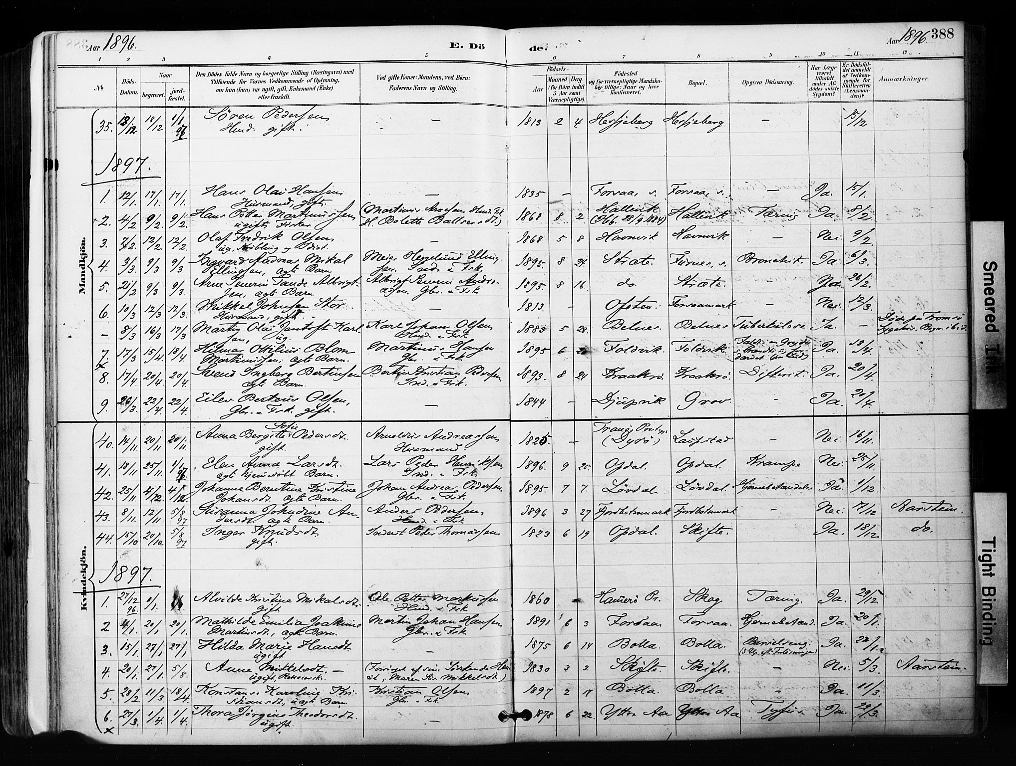 Ibestad sokneprestembete, AV/SATØ-S-0077/H/Ha/Haa/L0012kirke: Ministerialbok nr. 12, 1890-1900, s. 388