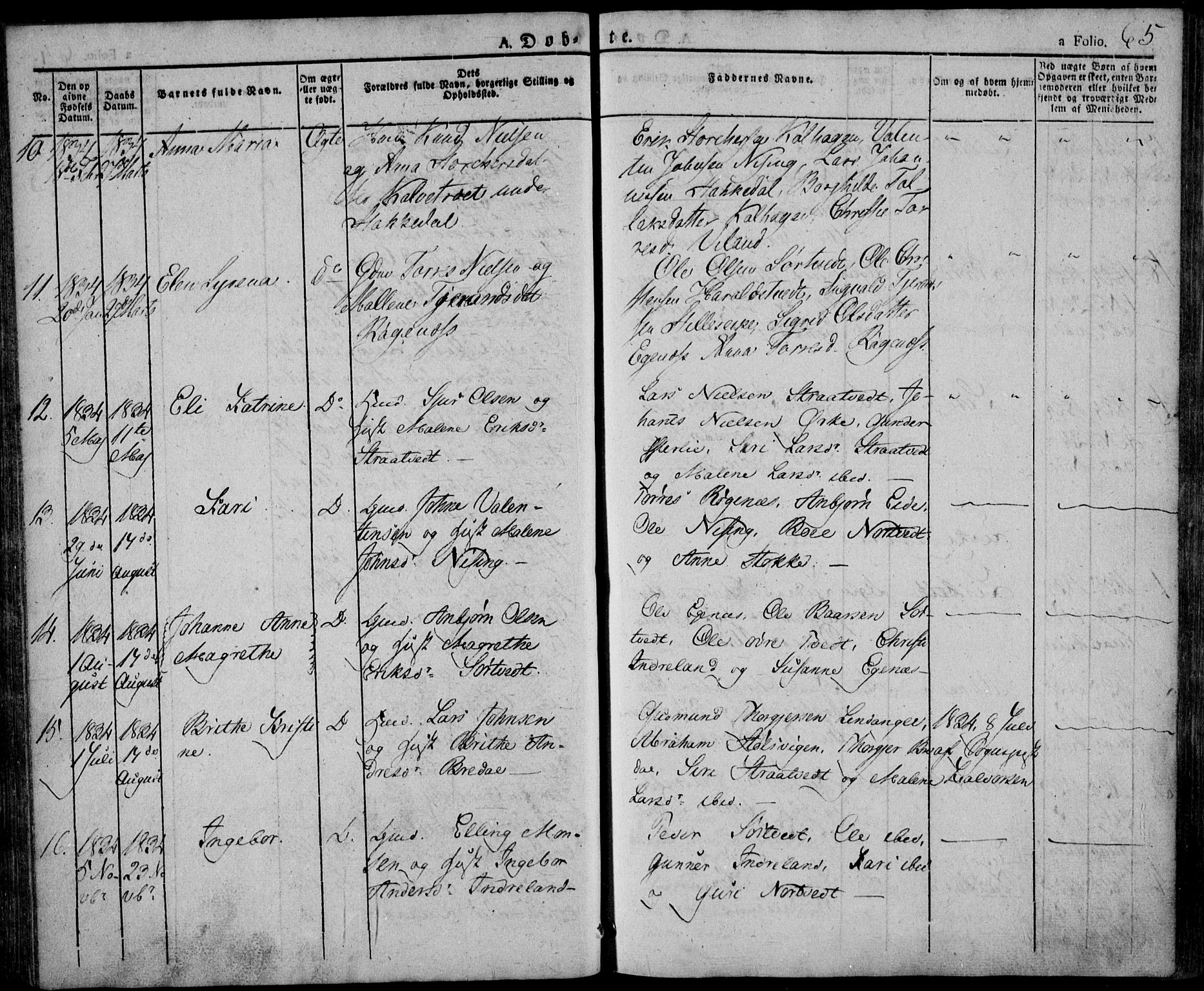 Skjold sokneprestkontor, AV/SAST-A-101847/H/Ha/Haa/L0005: Ministerialbok nr. A 5, 1830-1856, s. 65