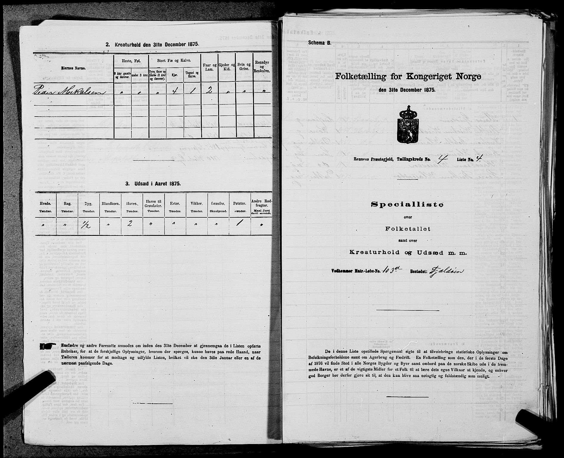 SAST, Folketelling 1875 for 1142P Rennesøy prestegjeld, 1875, s. 435