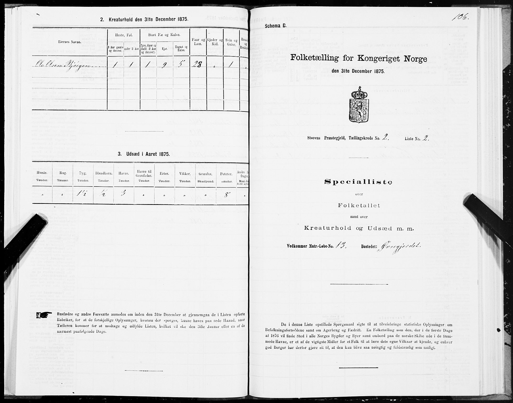 SAT, Folketelling 1875 for 1648P Støren prestegjeld, 1875, s. 1106