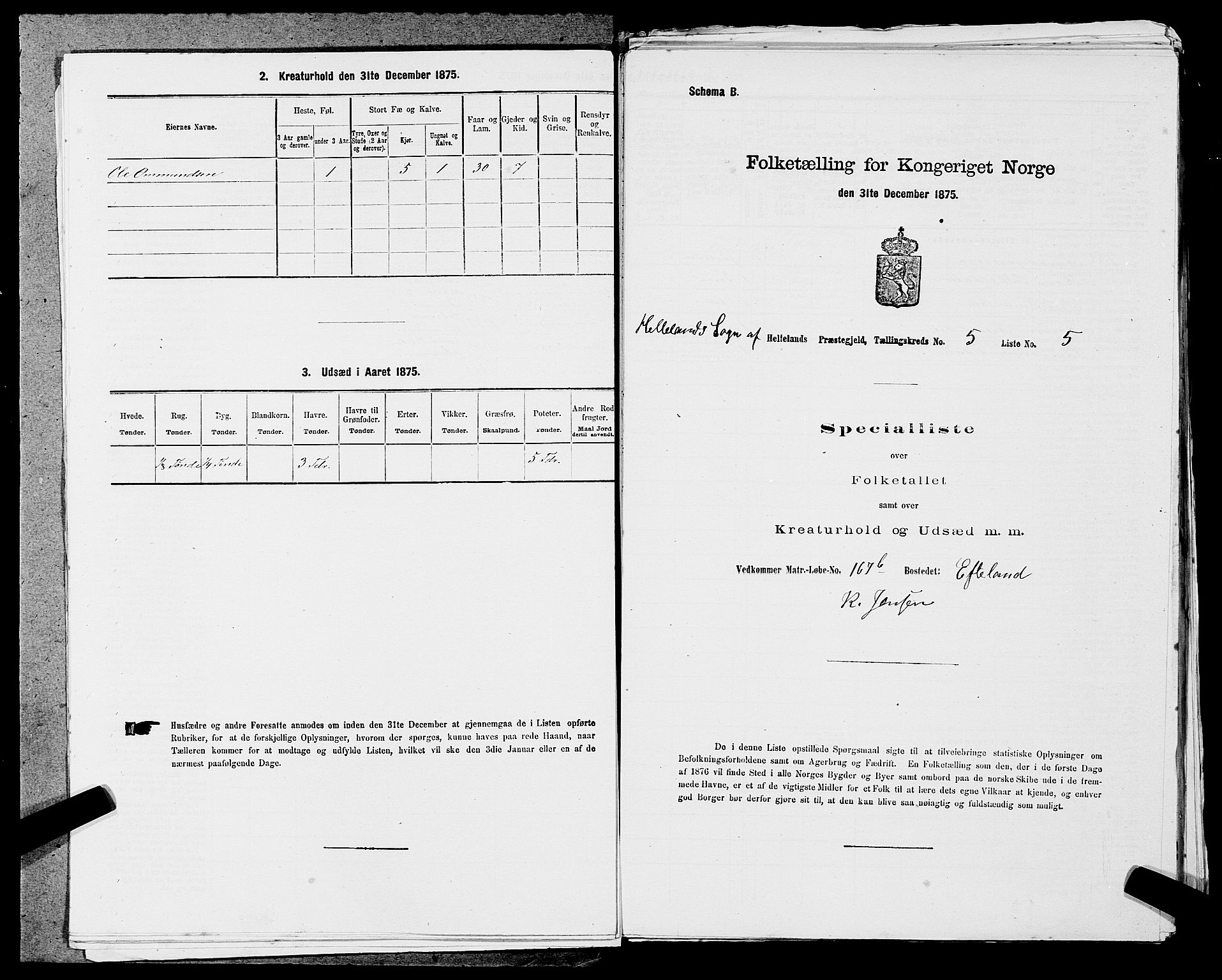 SAST, Folketelling 1875 for 1115P Helleland prestegjeld, 1875, s. 423