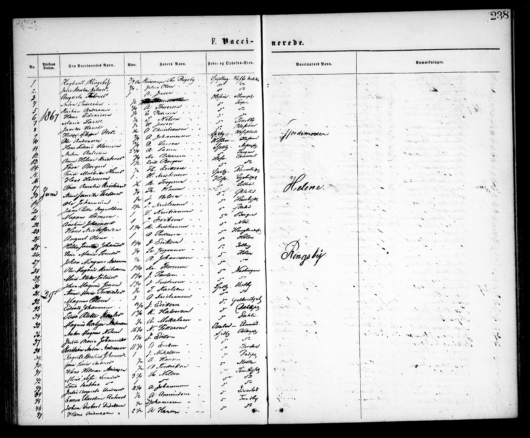 Spydeberg prestekontor Kirkebøker, SAO/A-10924/F/Fa/L0006: Ministerialbok nr. I 6, 1863-1874, s. 238