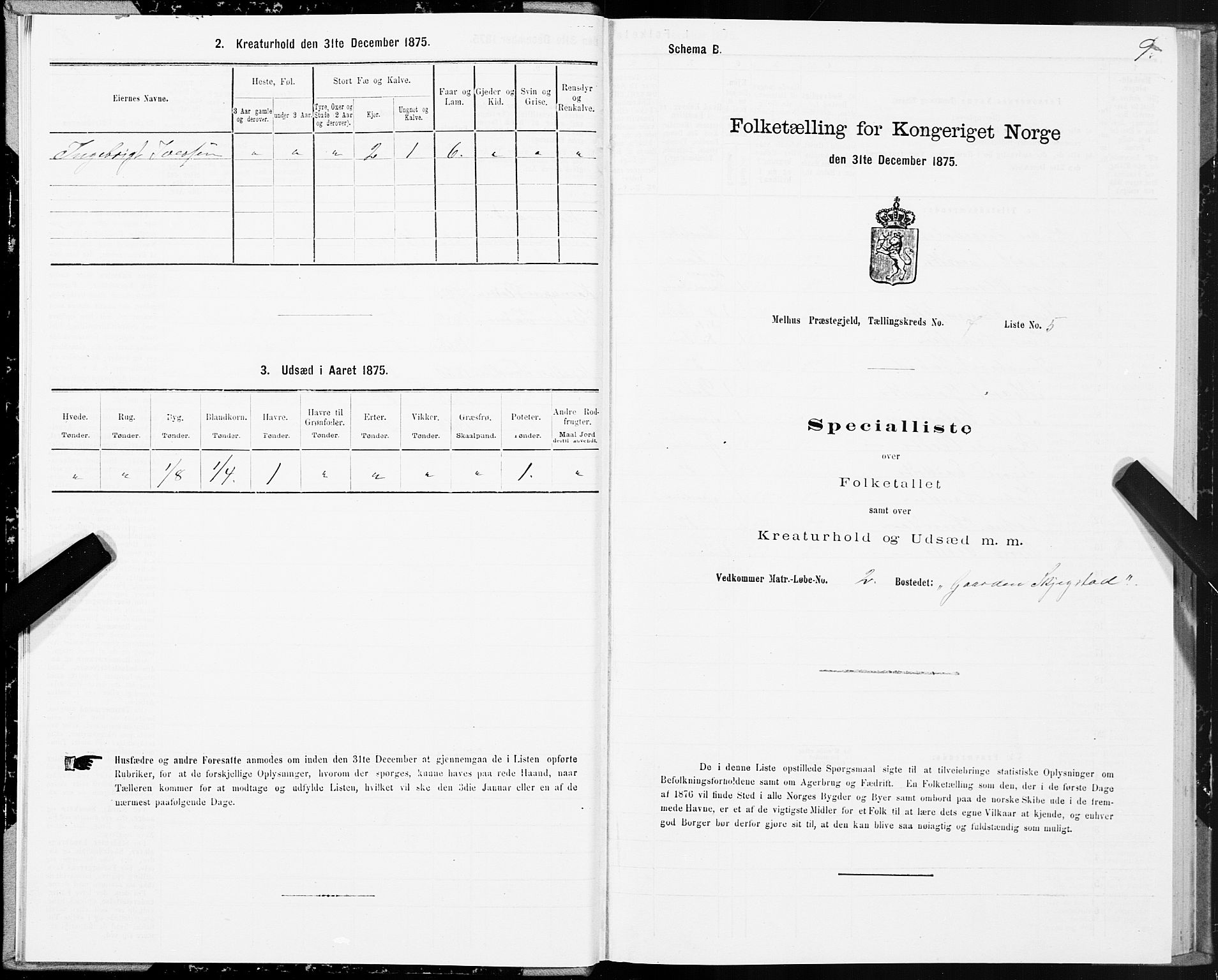 SAT, Folketelling 1875 for 1653P Melhus prestegjeld, 1875, s. 5009