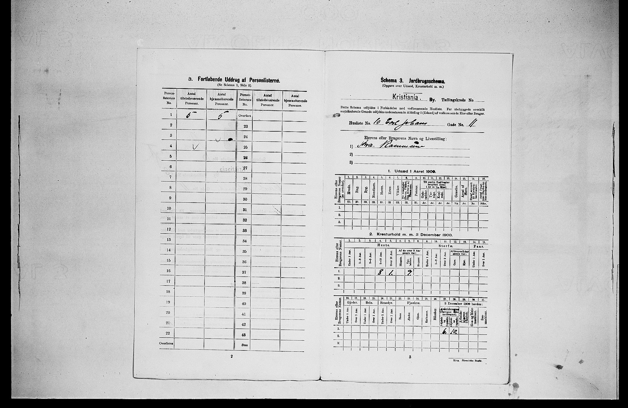 SAO, Folketelling 1900 for 0301 Kristiania kjøpstad, 1900, s. 11378