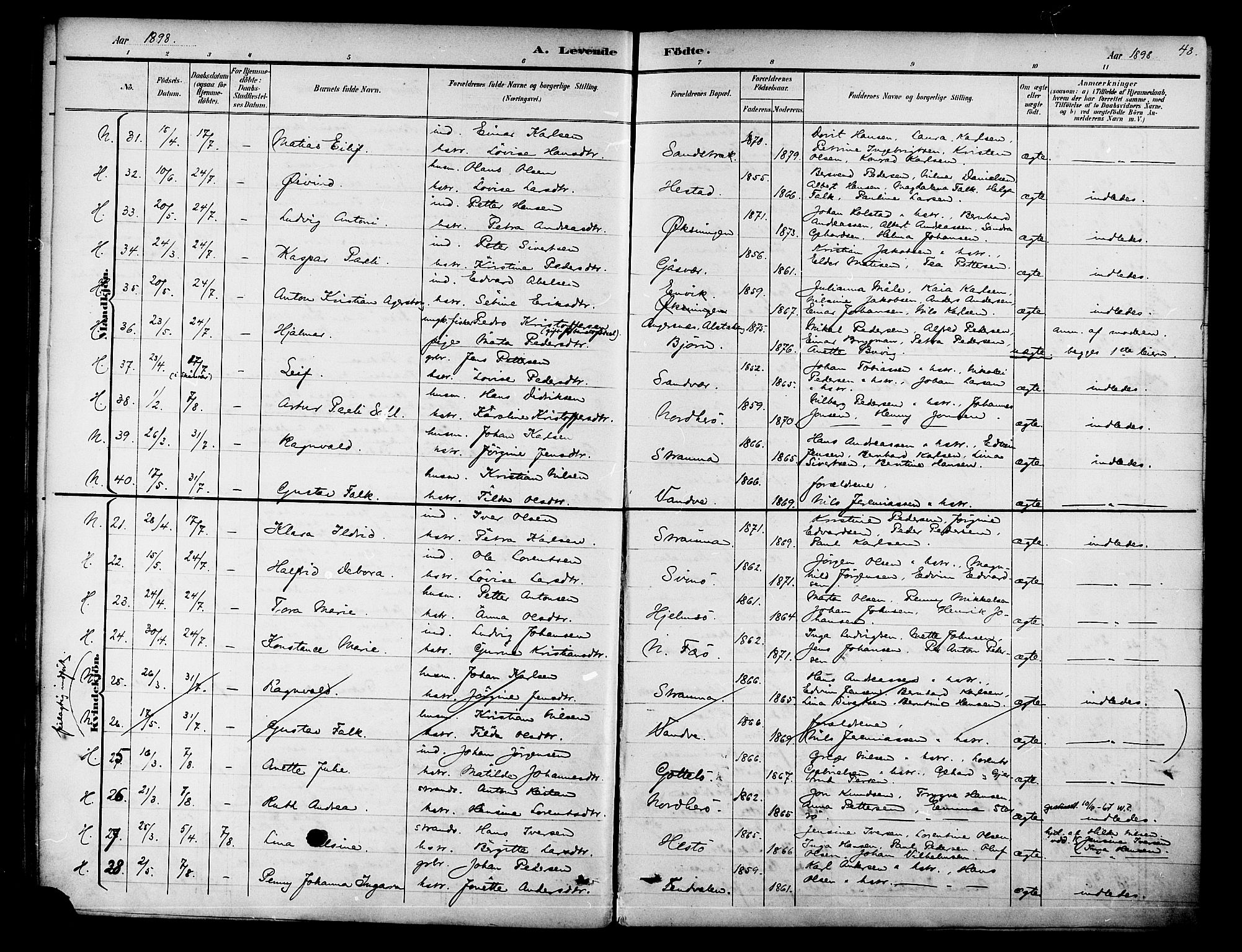 Ministerialprotokoller, klokkerbøker og fødselsregistre - Nordland, AV/SAT-A-1459/834/L0508: Ministerialbok nr. 834A06, 1892-1901, s. 43
