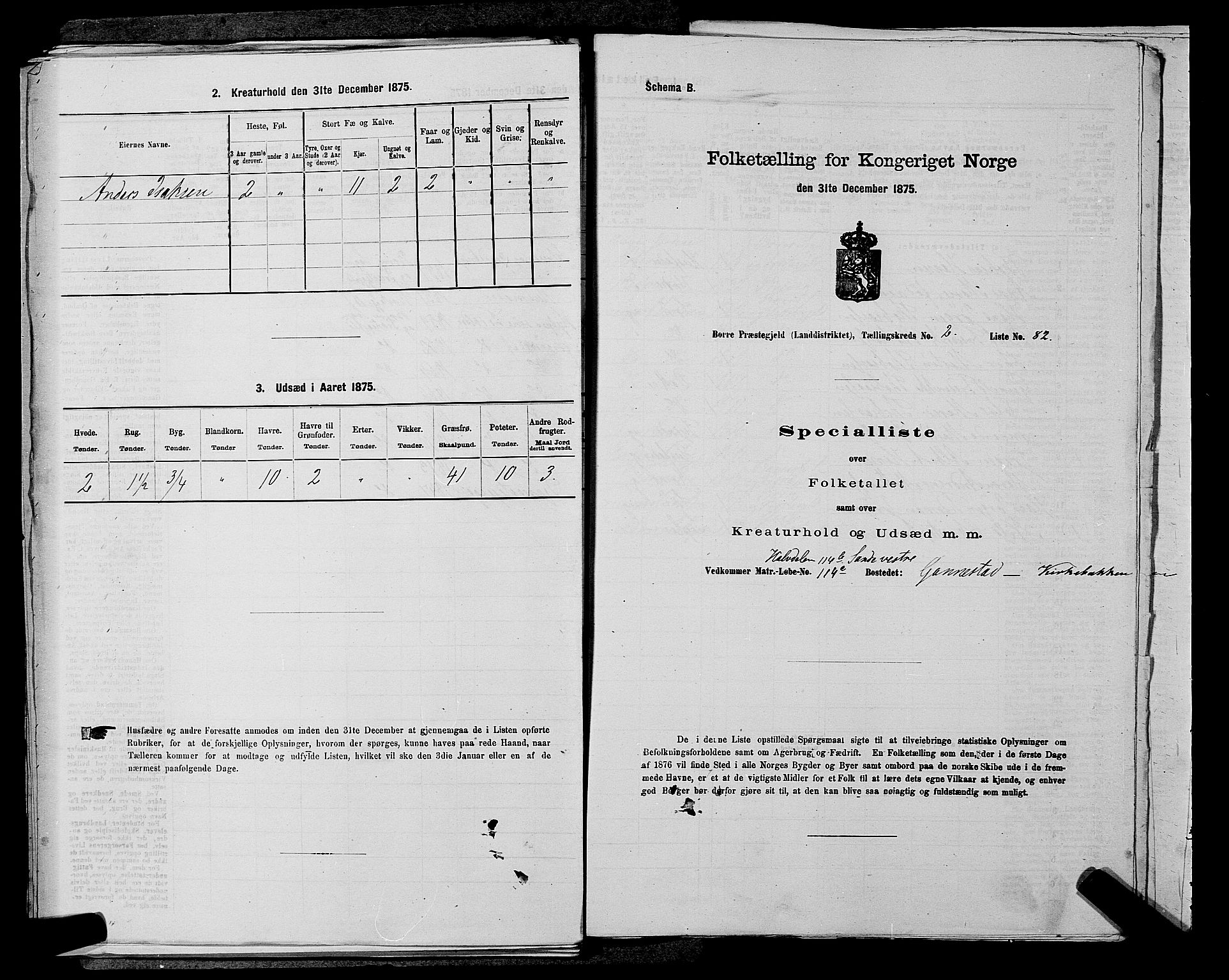 SAKO, Folketelling 1875 for 0717L Borre prestegjeld, Borre sokn og Nykirke sokn, 1875, s. 489